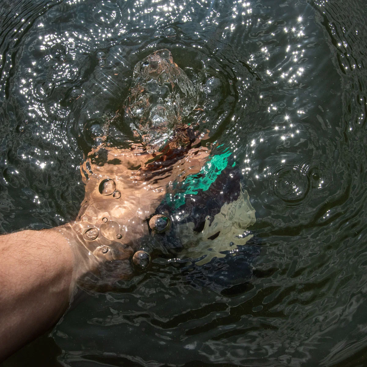 PIC_ACTION_20190730_EXPEDITIONSWIM_SWIM_Pecheries_Research_005.jpg