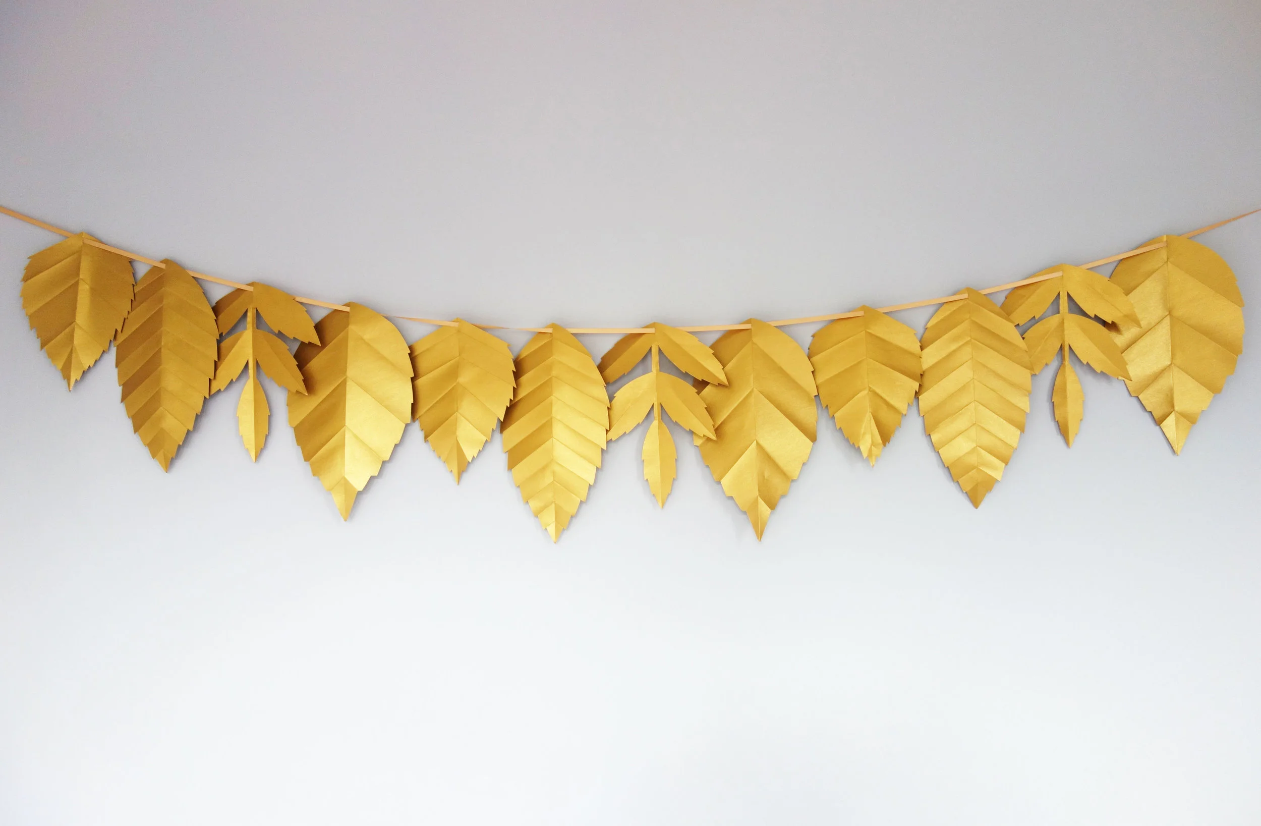 05 all leaves 2.jpg