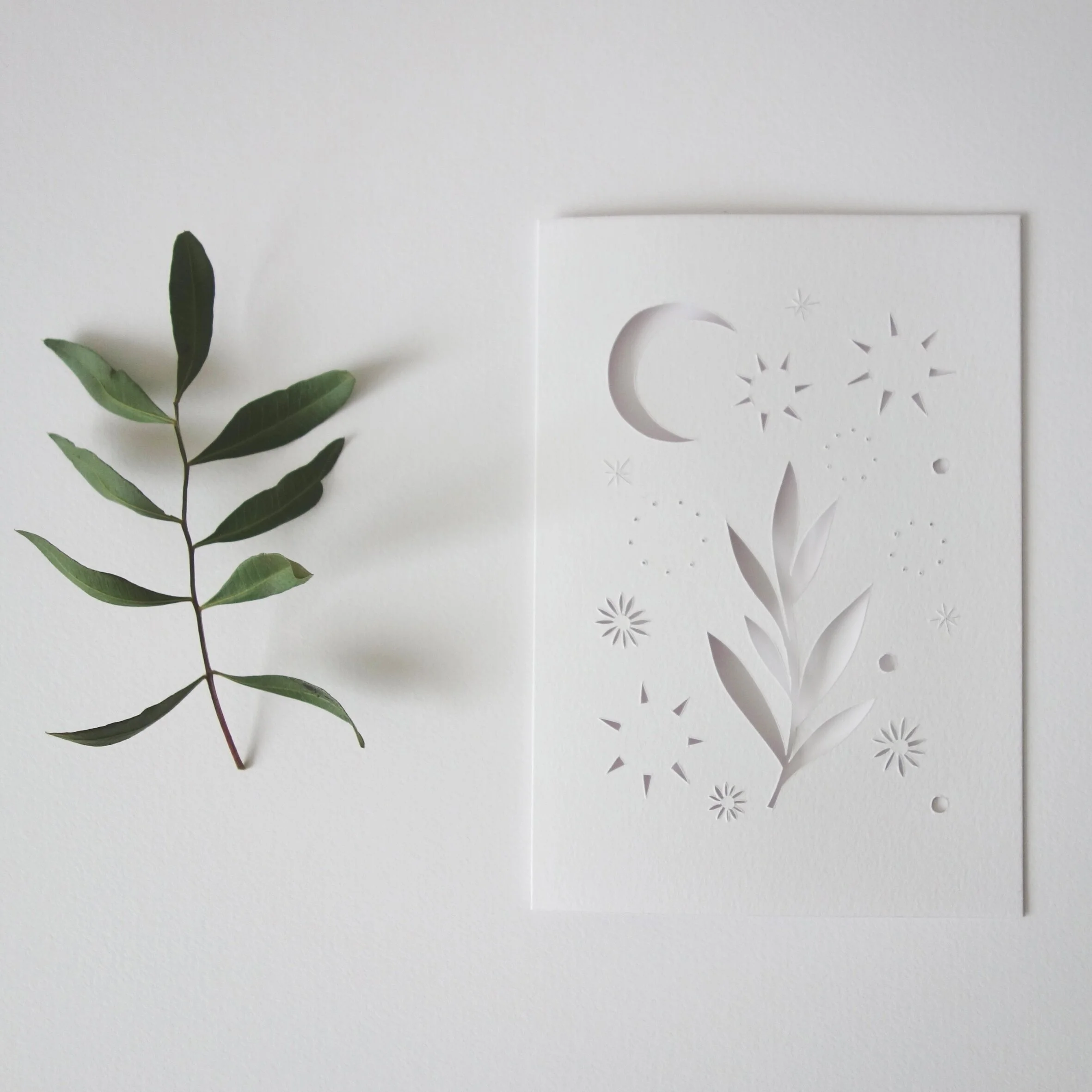 Magic+of+Nature+Card+pic.jpg