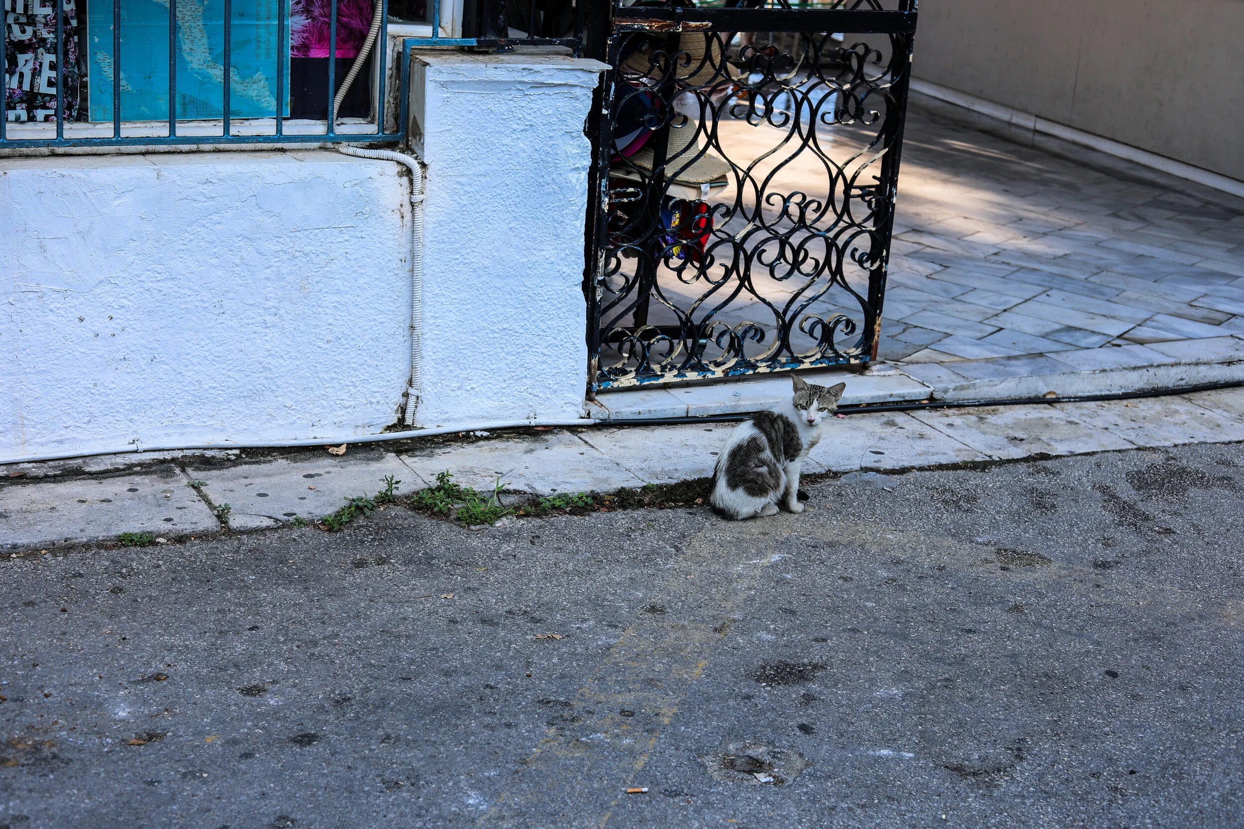 Corfu (6 of 44).jpg