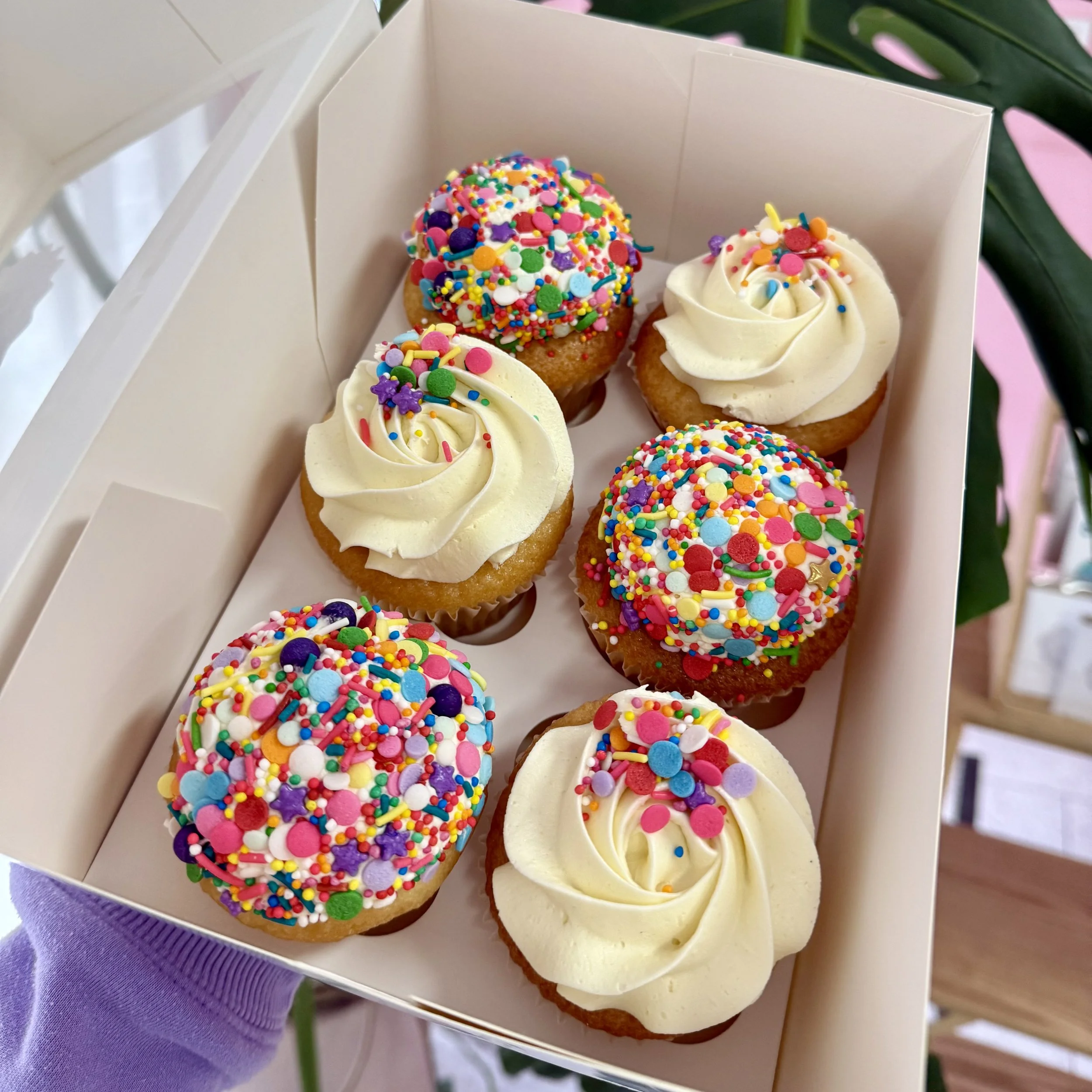 Vanilla Spinkle Party Pack