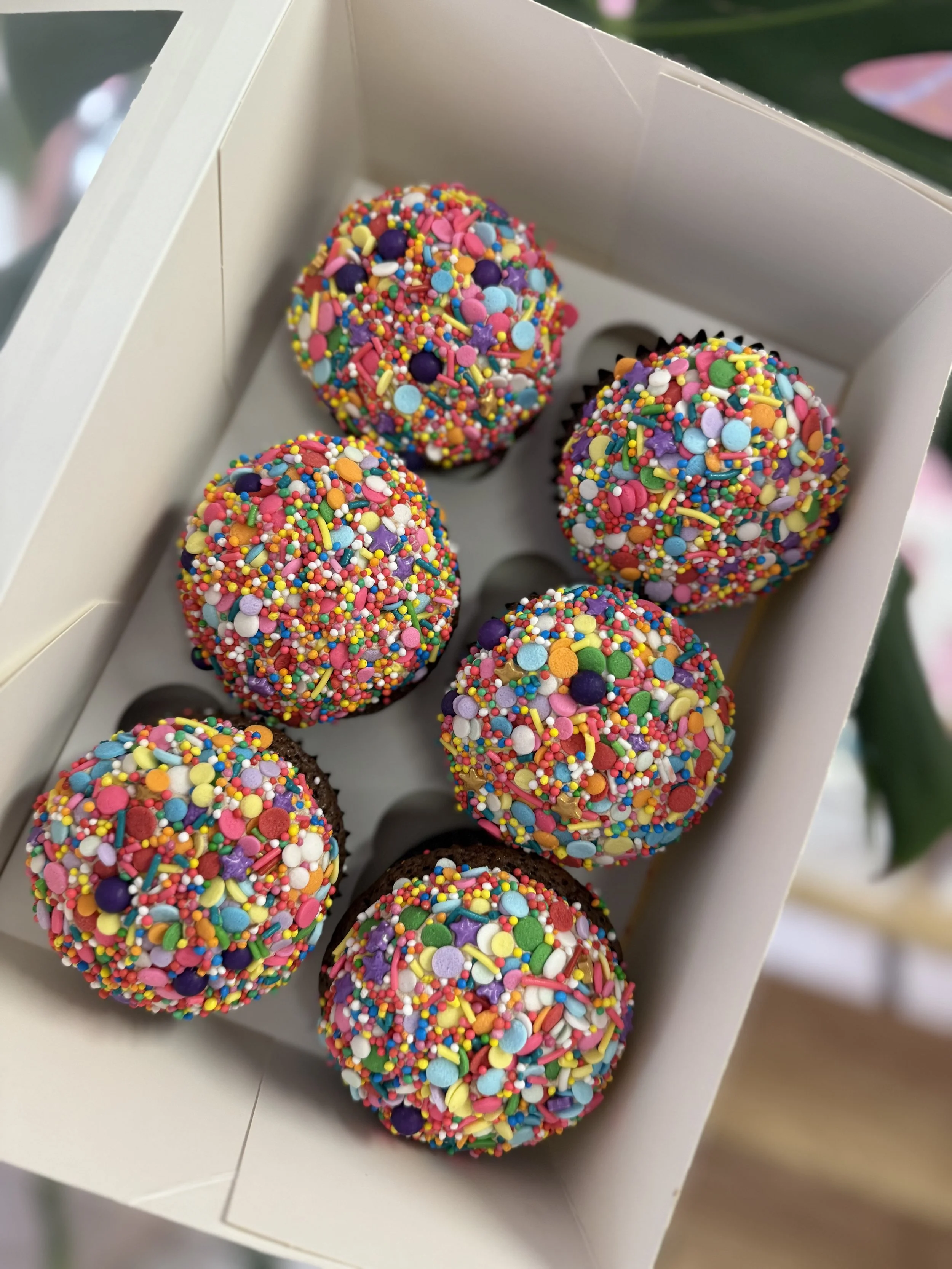 Chocolate freckle Pack