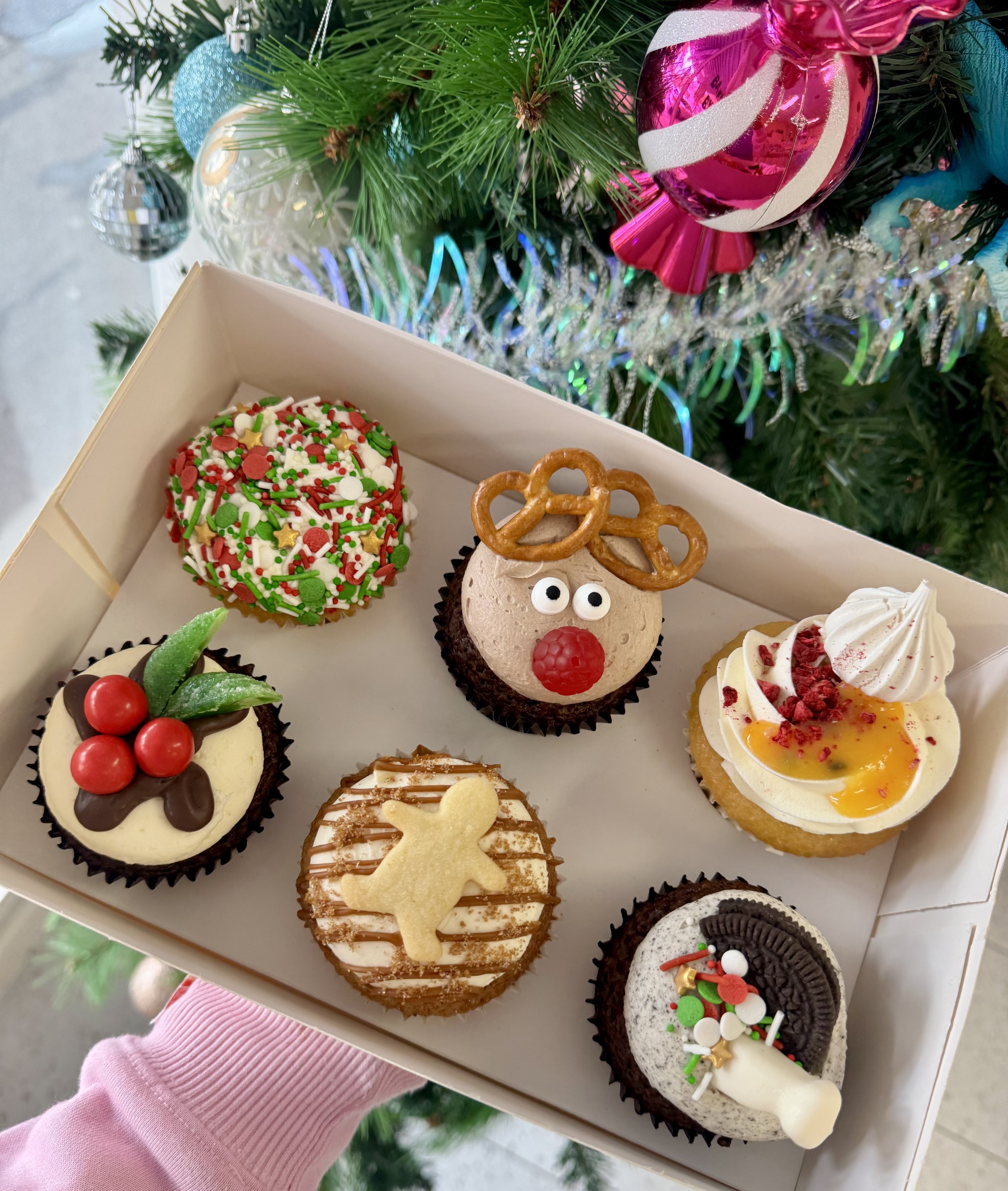 Christmas Variety Pack