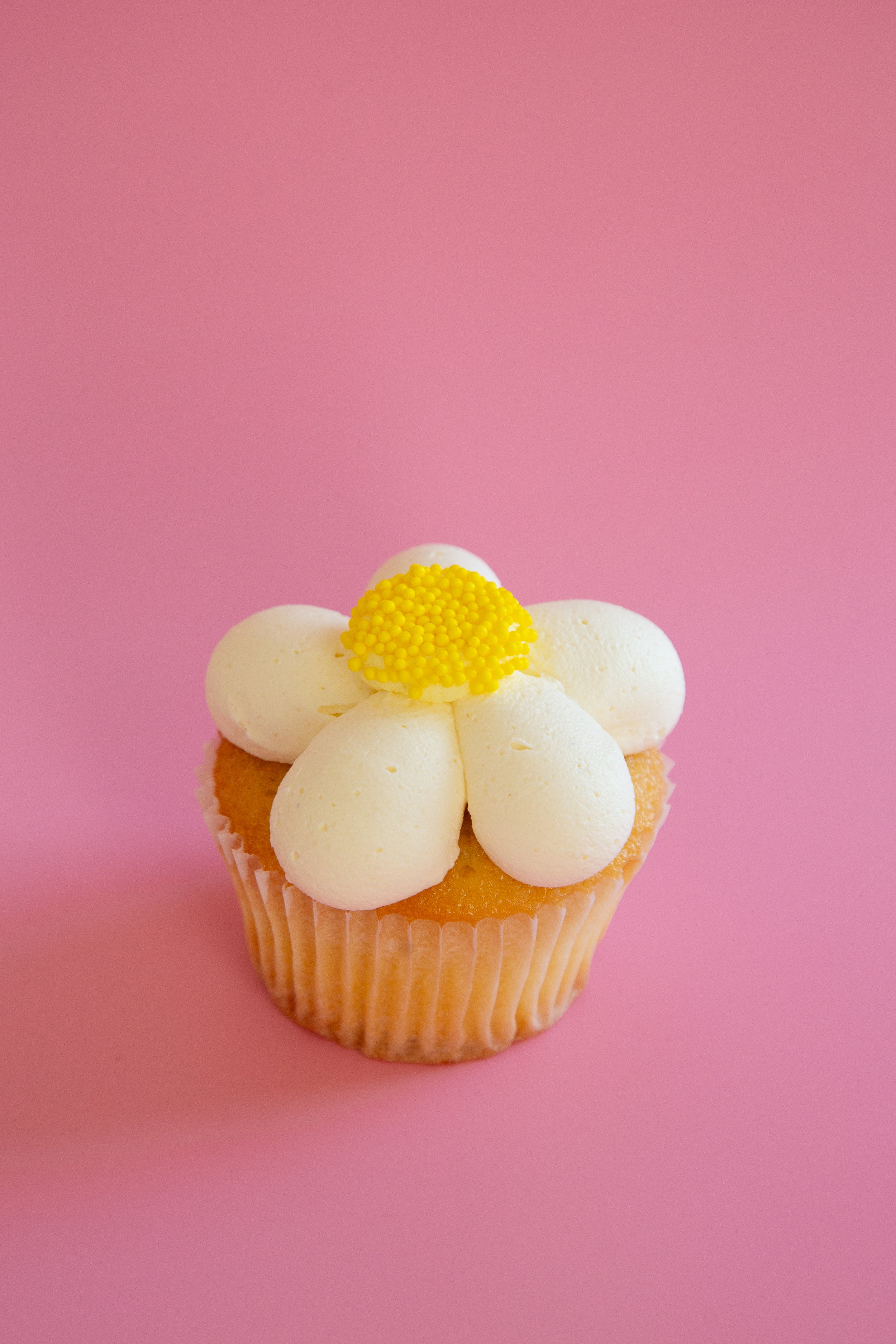 daisy 5.jpg