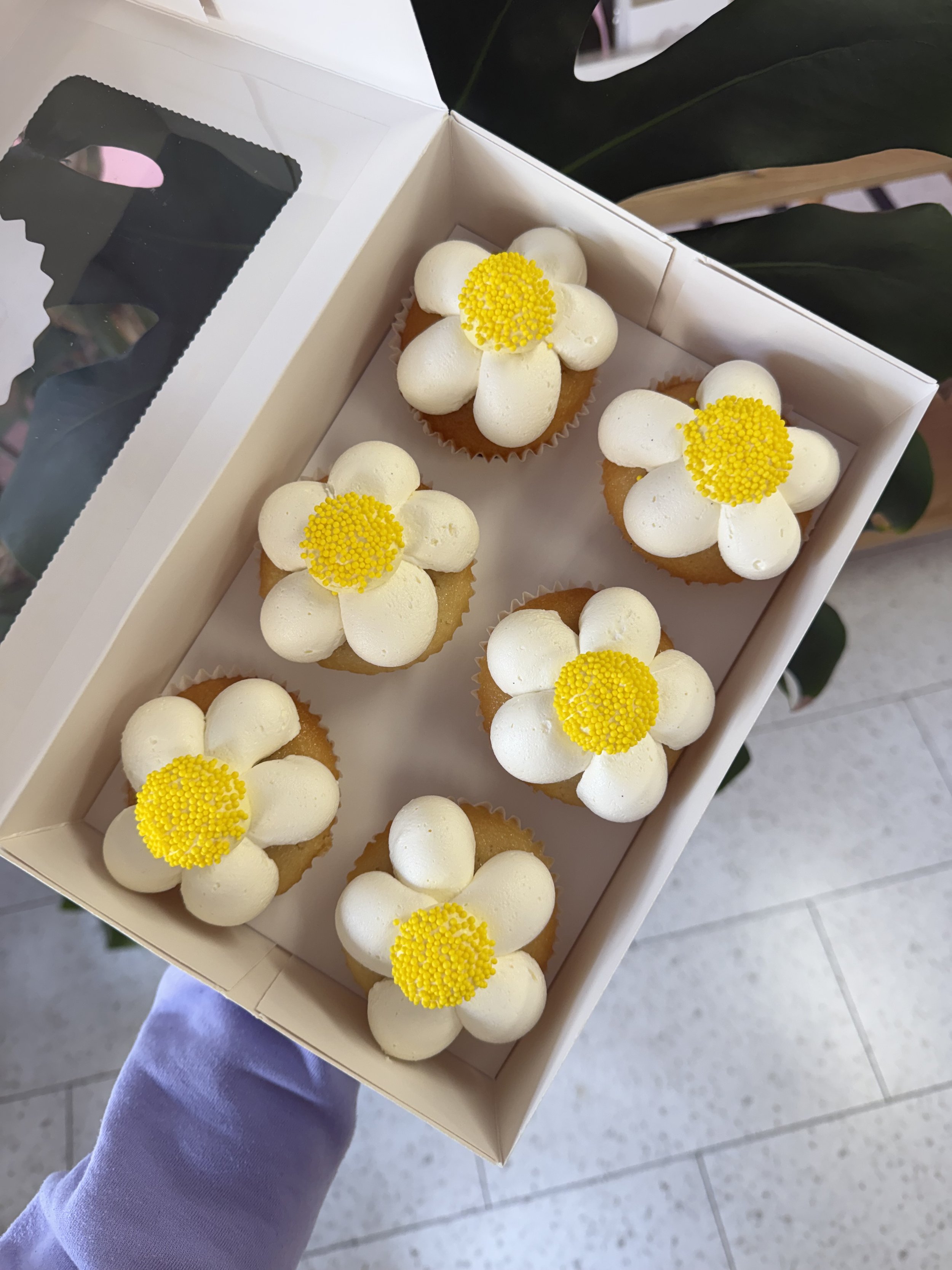 Daisy Dreams
