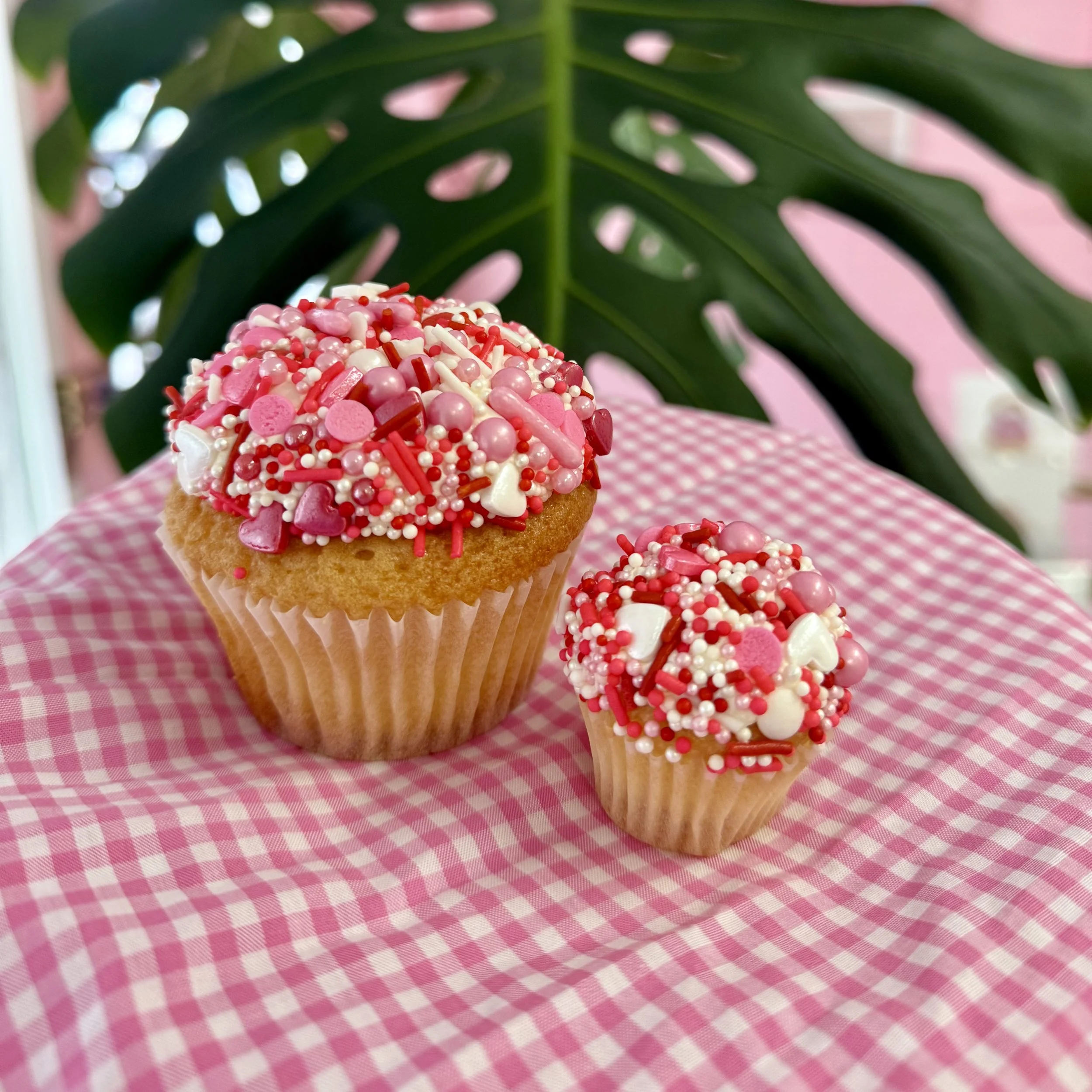 Valentine's & Galentine's Minis