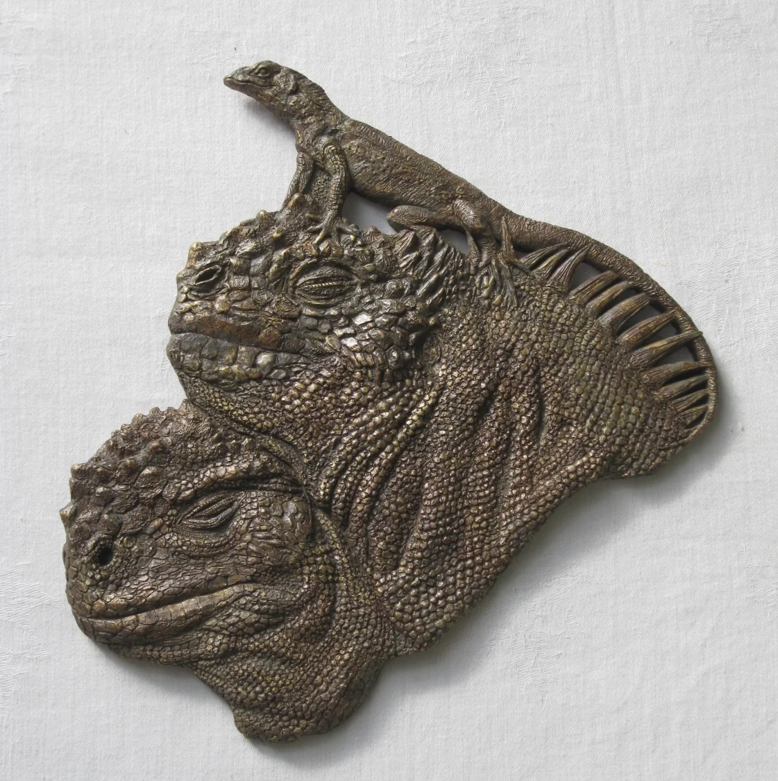 Marine Iguanas & Lava Lizard