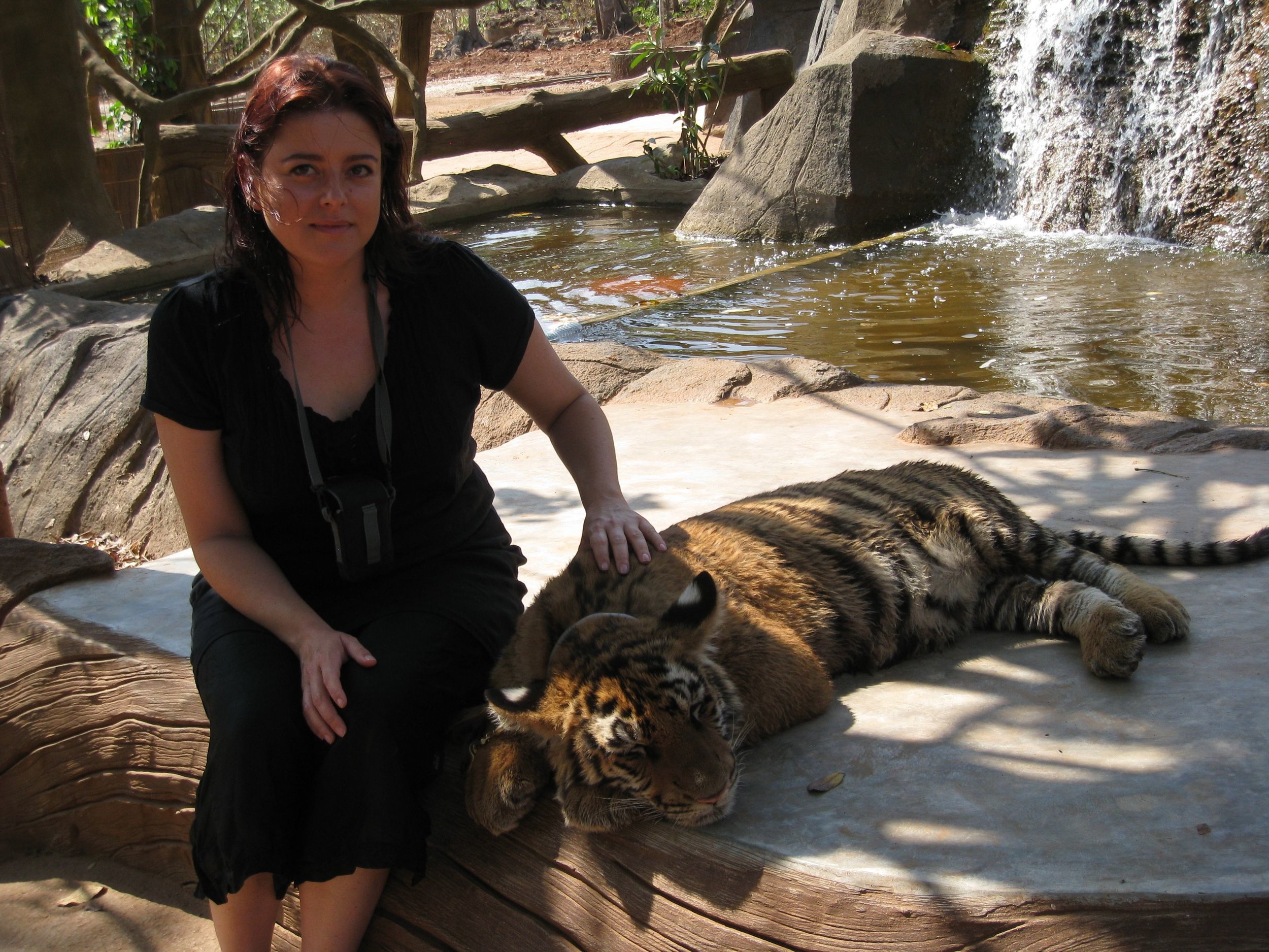 Peta at Tiger Temple in Thailand.jpg