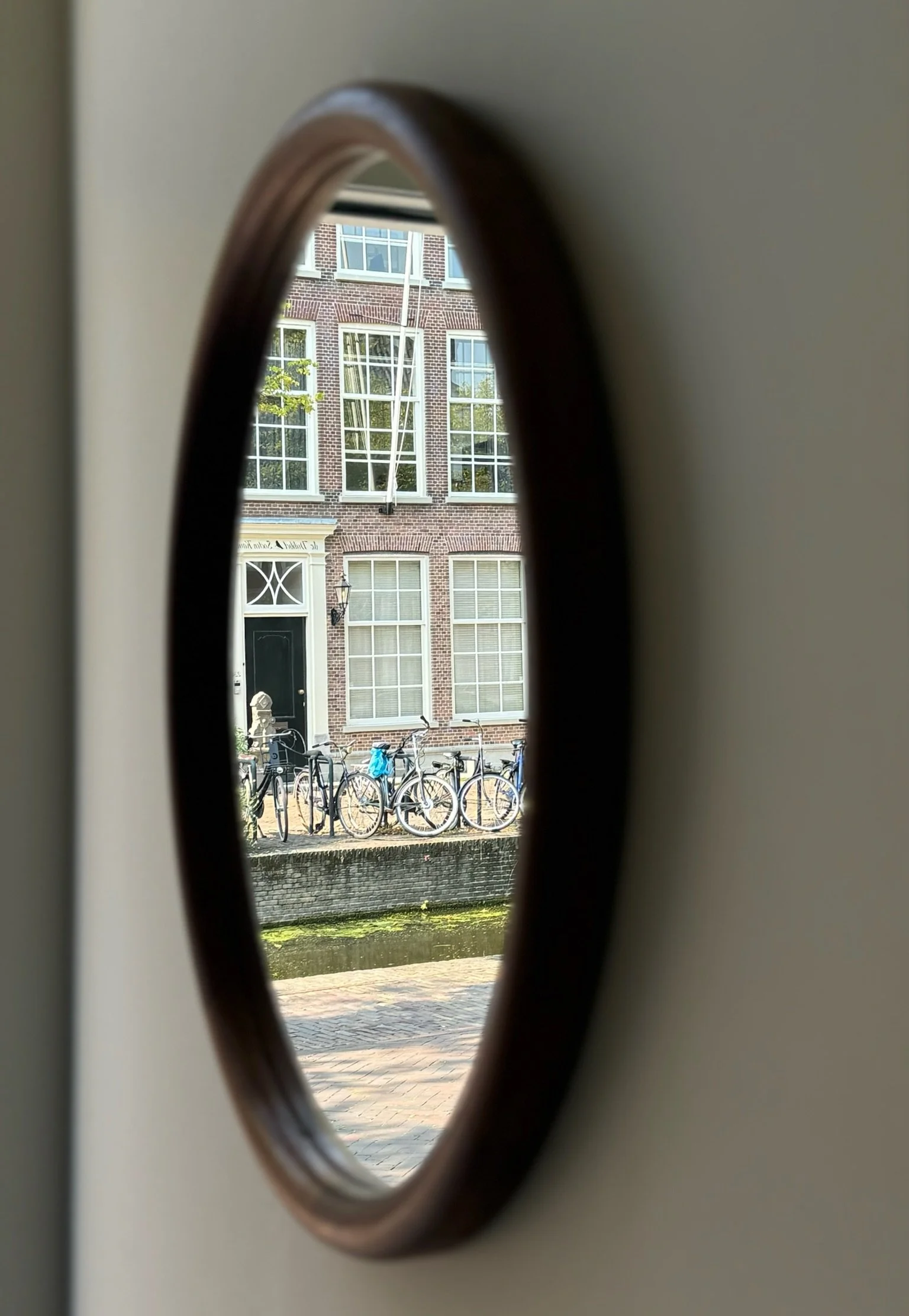 IMG_8220.jpg