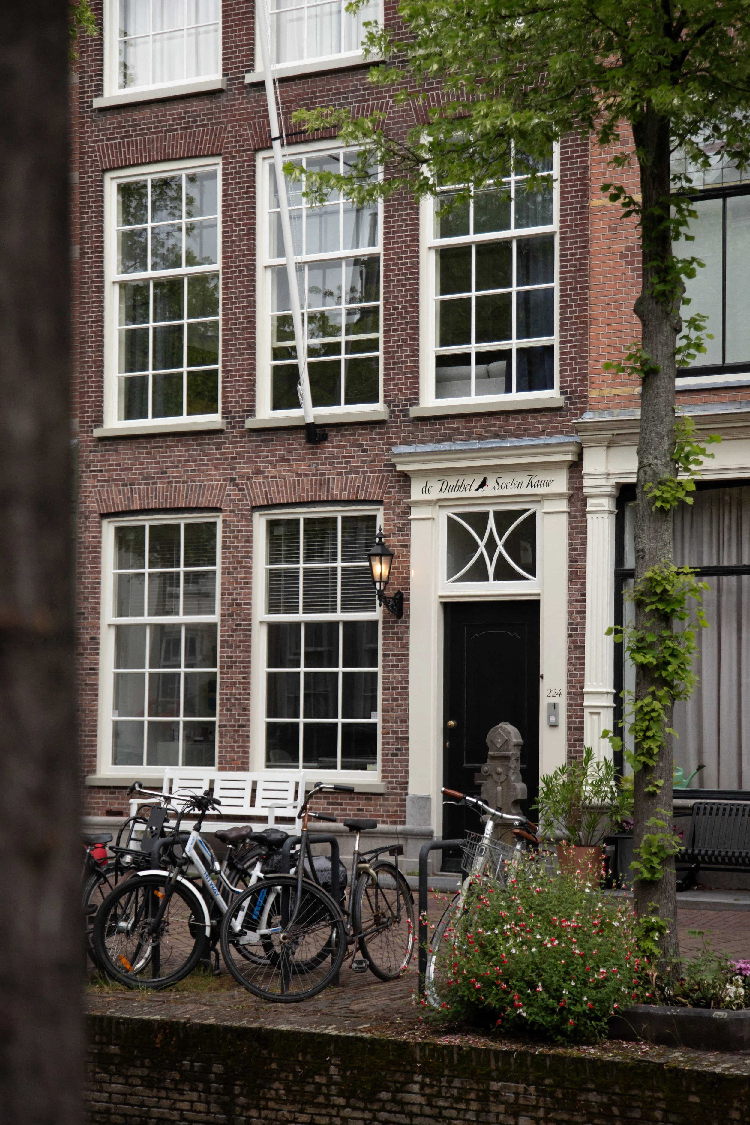 1A6B1185-3.jpg