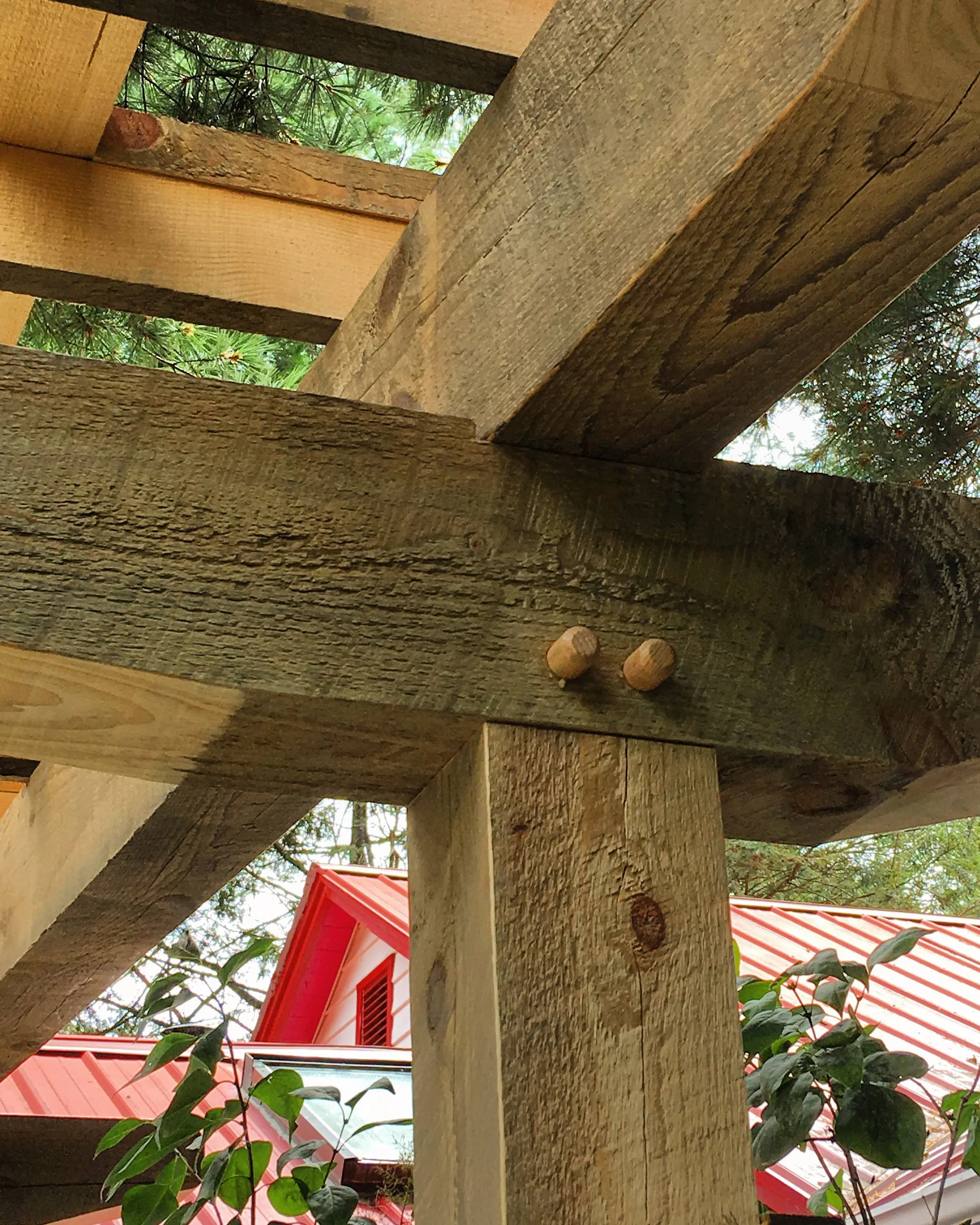 Timber Frame Joinery - White Pine, White Oak