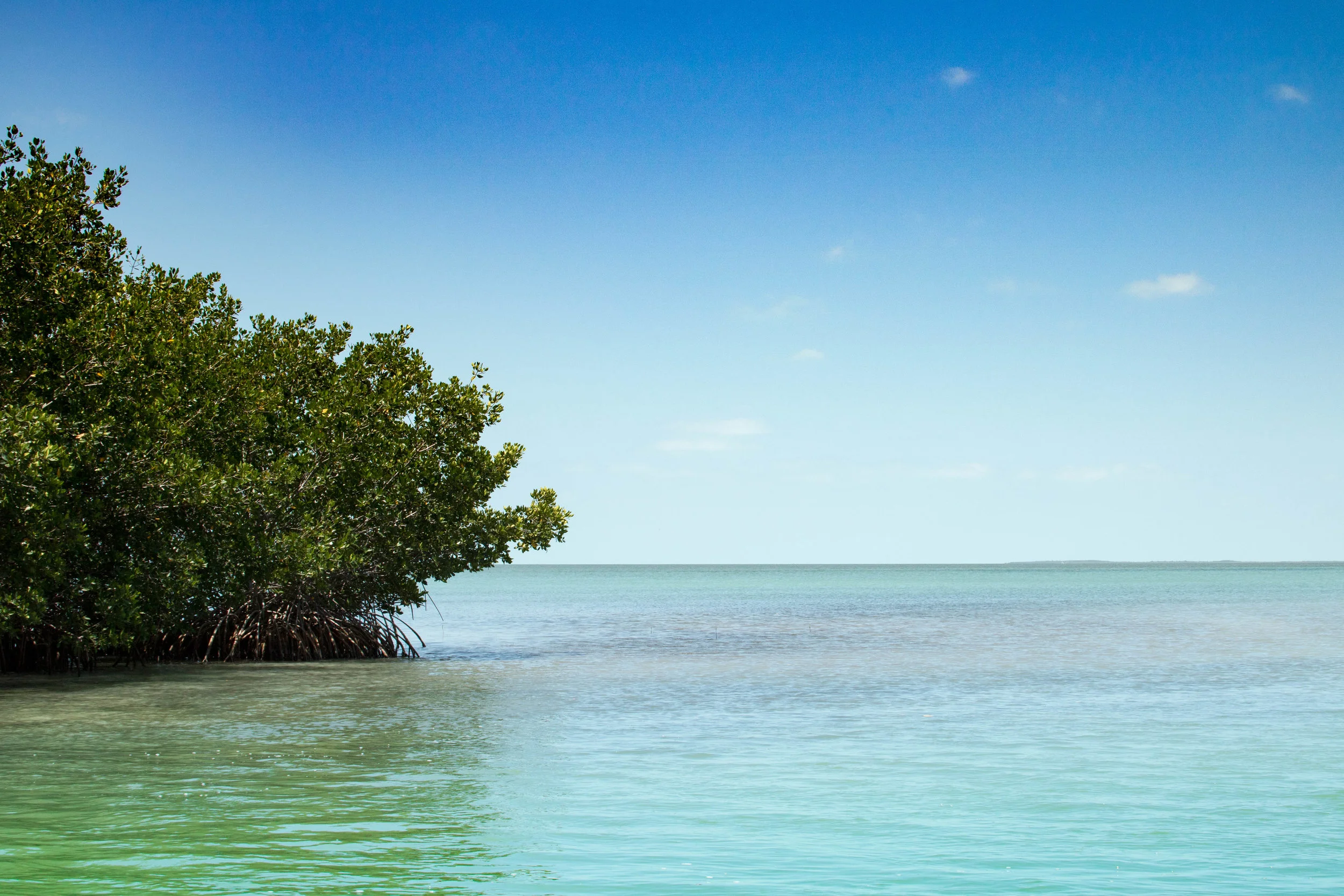 islamorada waterfront.jpg