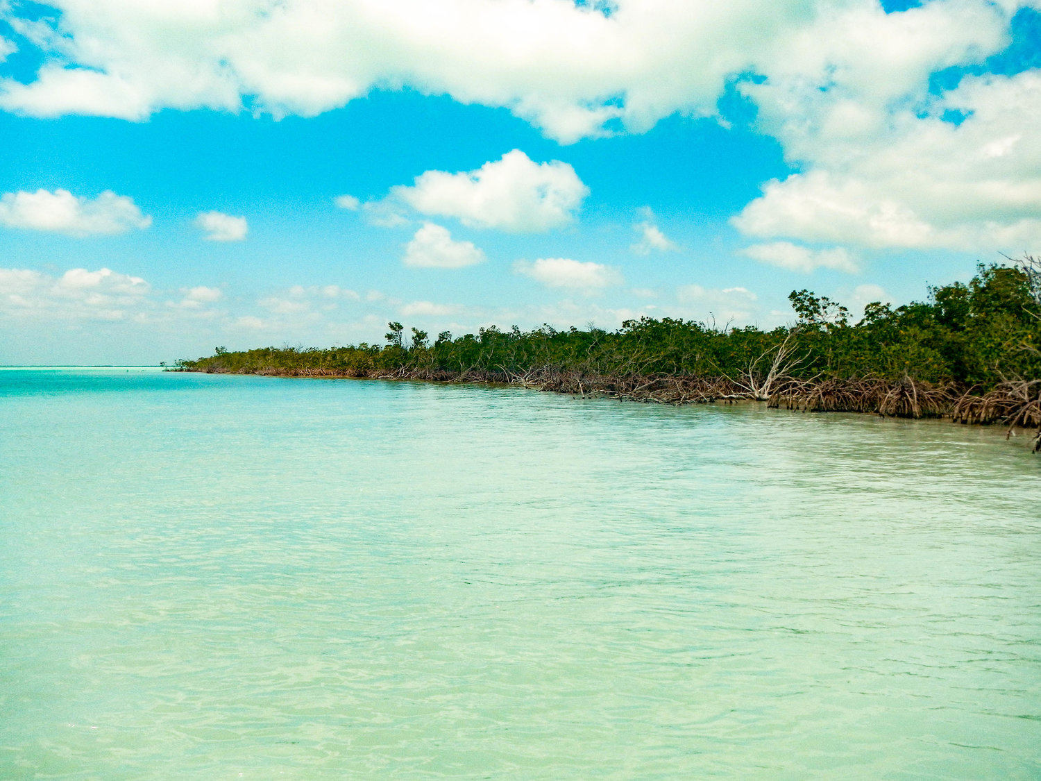 Islamorada South Condos For Sale — Florida Keys Search