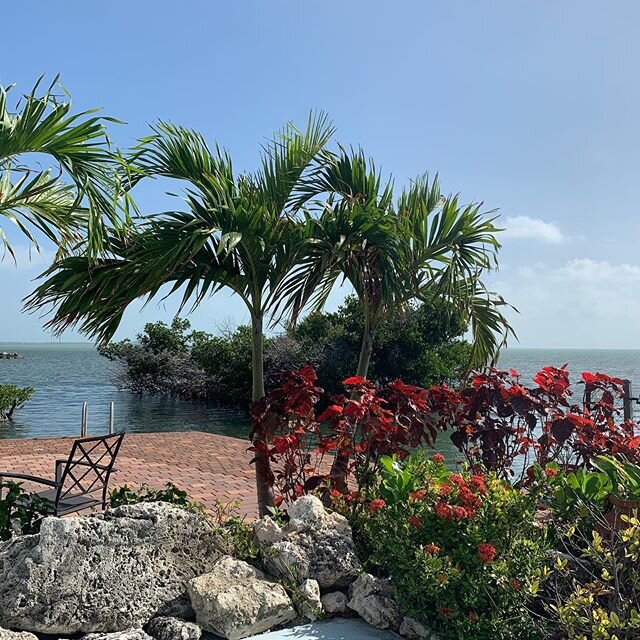 My view!! Here is my current view!&rsquo; Open House right now!!! 901 lobster lane, key largo!! 10-noon today!! Come join me!! You will love the view. Call for more details 305-399-6297!!! #openwater #floridakeyssearch #realestate