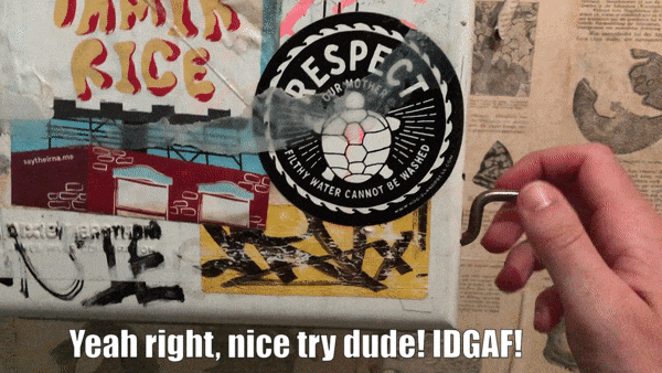 Molasses-Books-paper-towels.gif