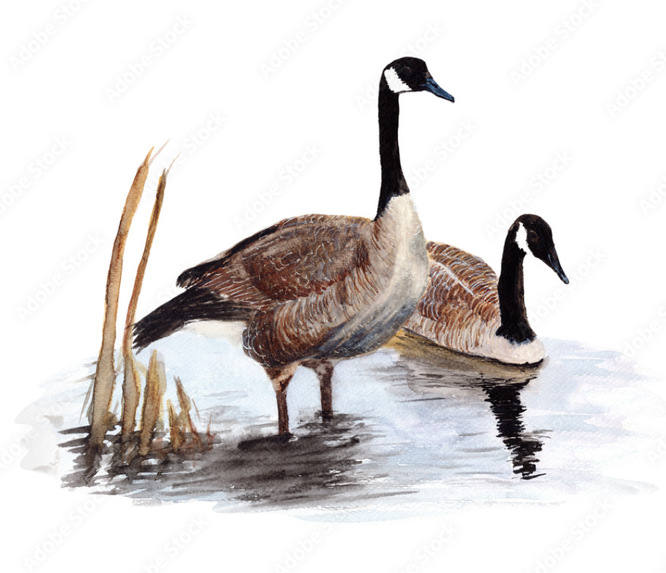 Screenshot 2024-02-04 at 9.47.49 PM.png