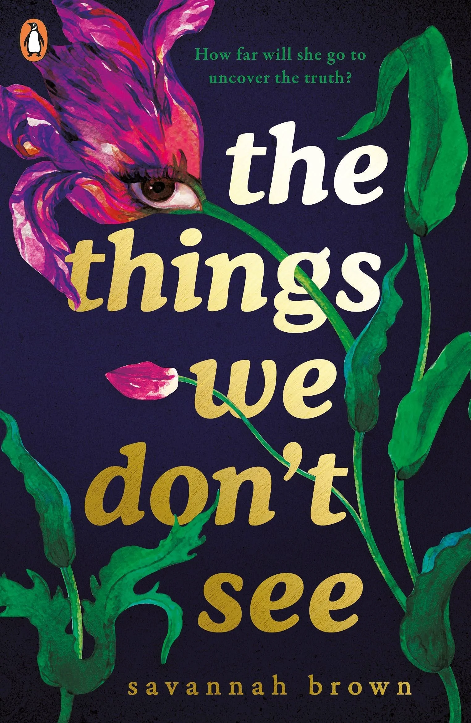 the things we don't see .jpg