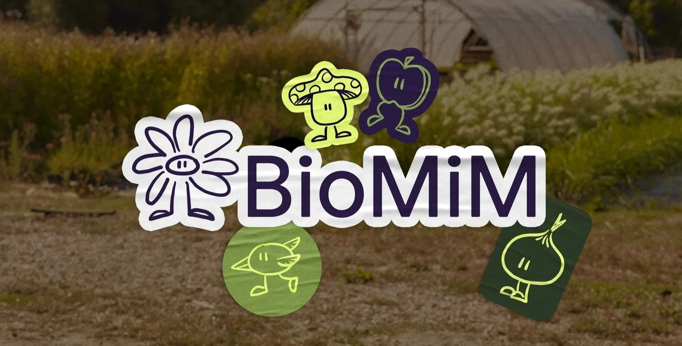 BioMiM Visual Identity