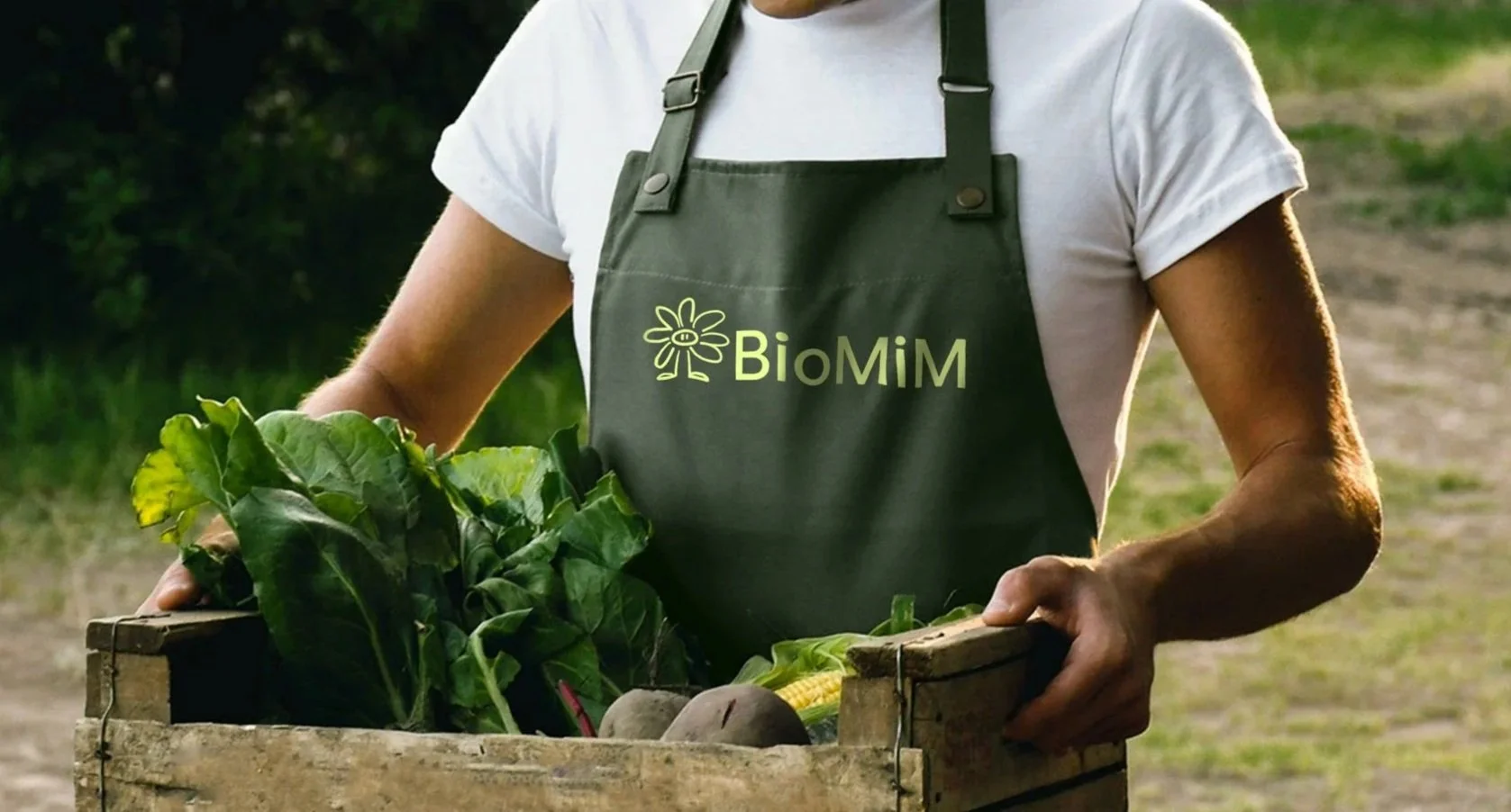 BioMiM Visual Identity
