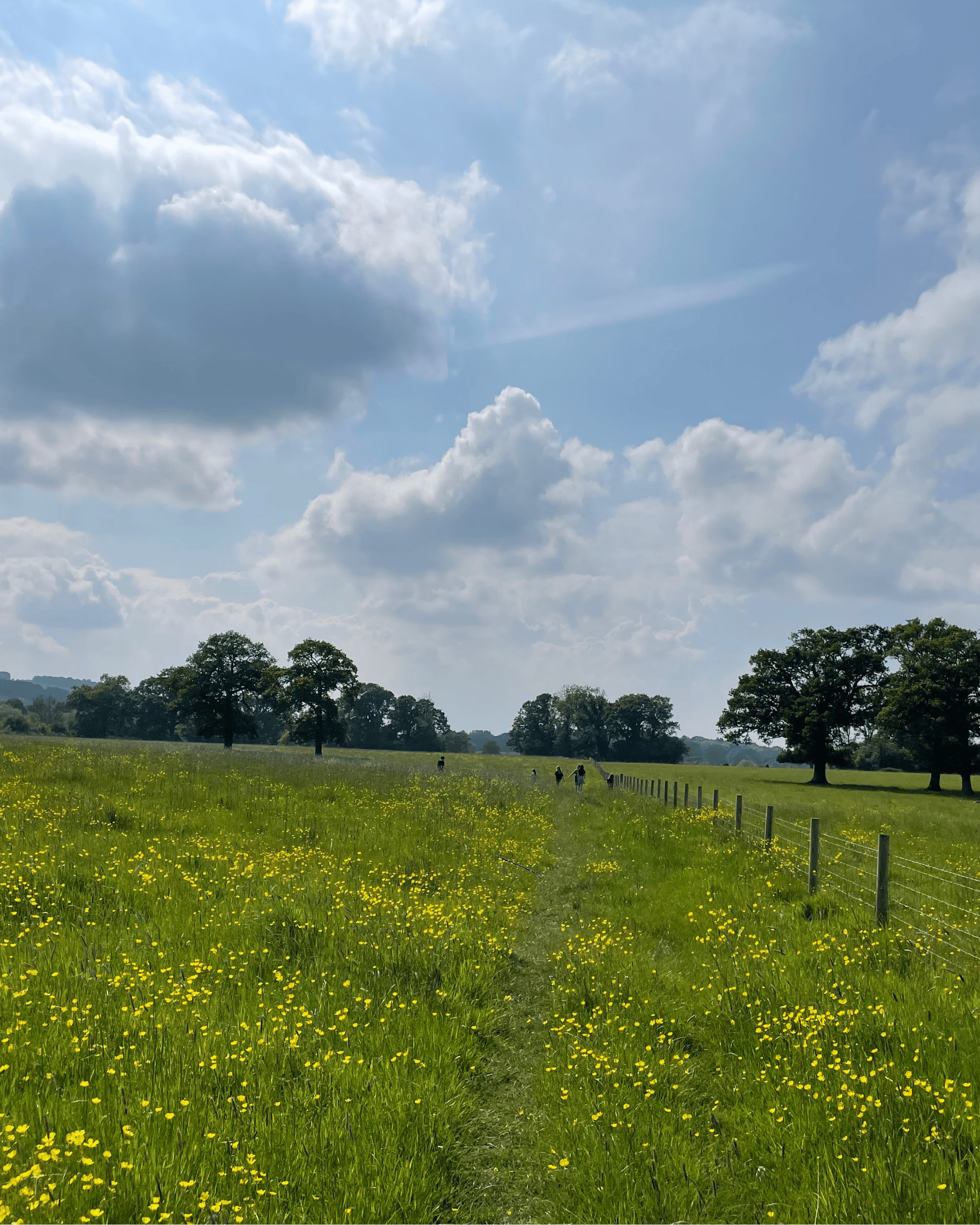 Untitled design (2).png