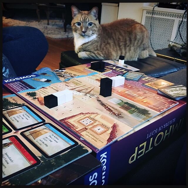 &ldquo;Didn&rsquo;t the Egyptians worship cats? Interesting thought...&rdquo; #saturday #gamenight #imhotep #pyramids