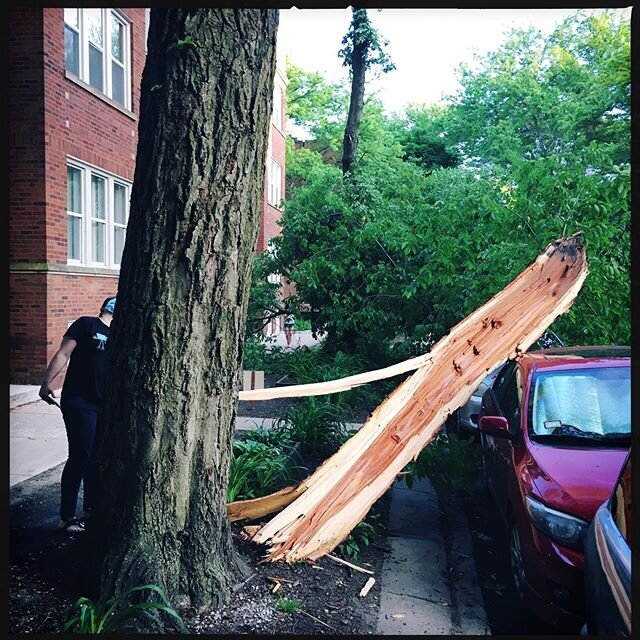 Thus another month of 2020 begins. (Not our car) #actofgod #portent #omen #rogerspark #chicago #2020