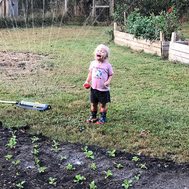 Eating a hot tomato off the vine and drinking from the sprinkler. This child is more country than me.