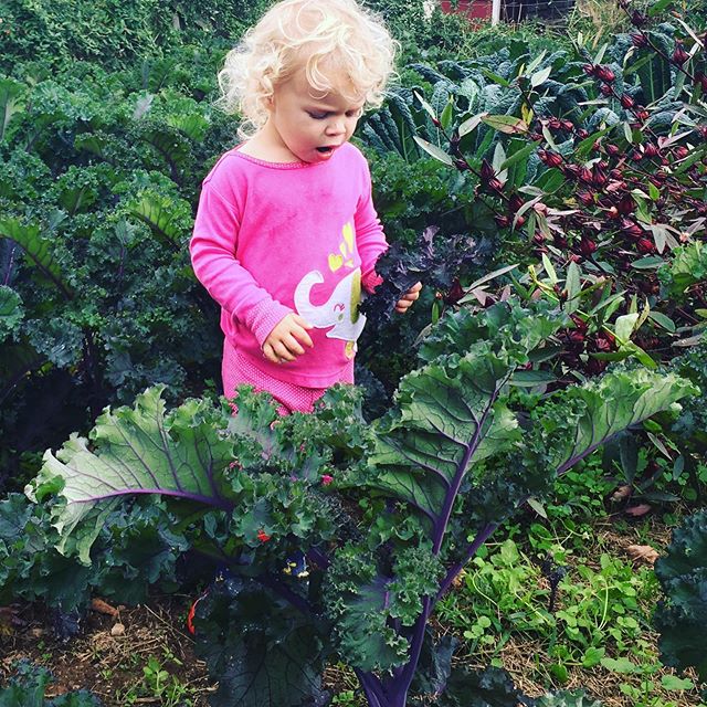 The kid likes kale.