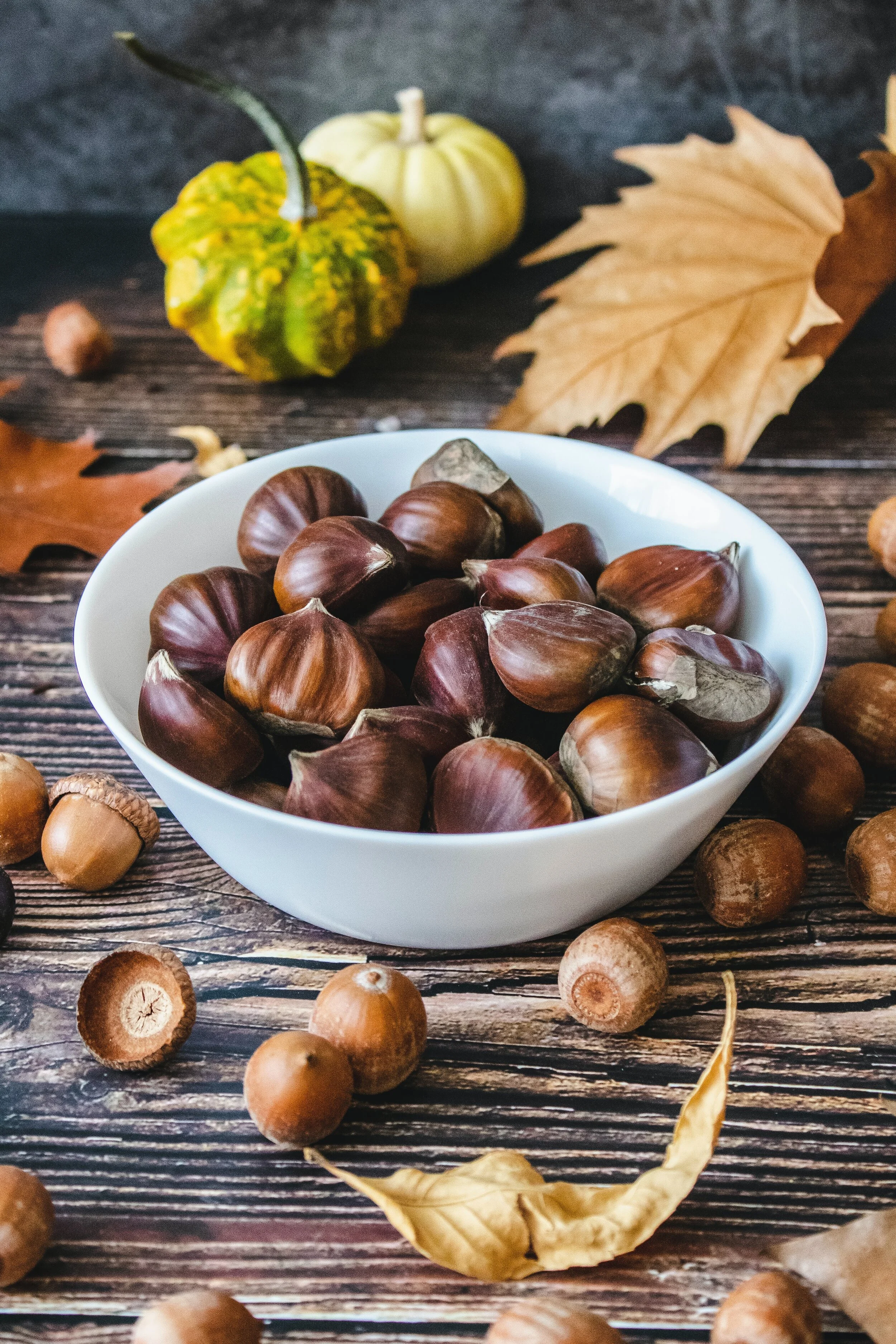 Friday Finds: October Week Two