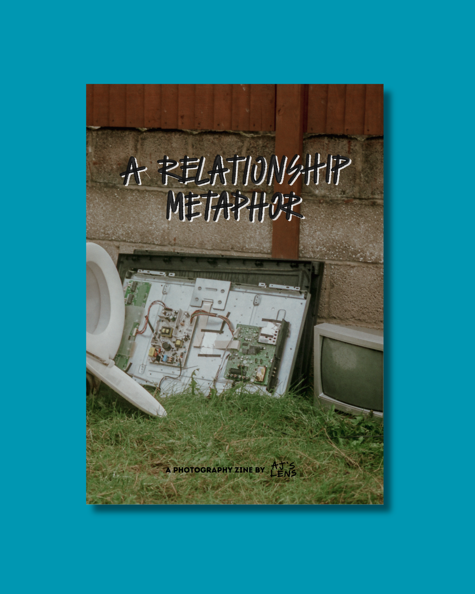 a relationship metaphor photography zine