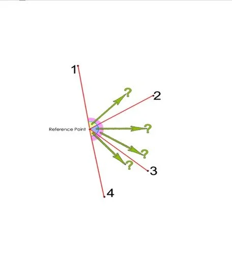 Reference Point Theory