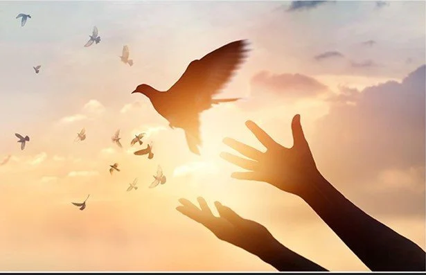 DOVES OF GRACE