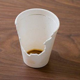 Parable of the Styrofoam Cup