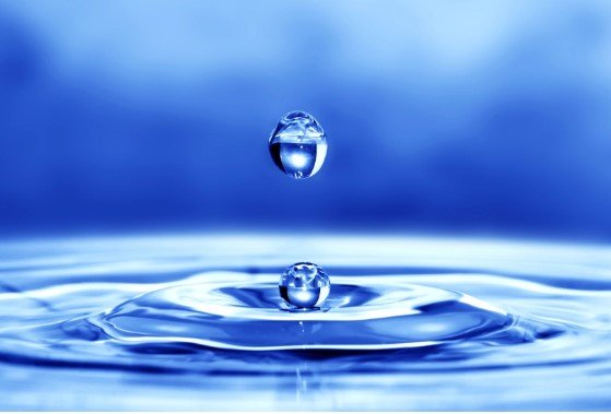  THE DROP