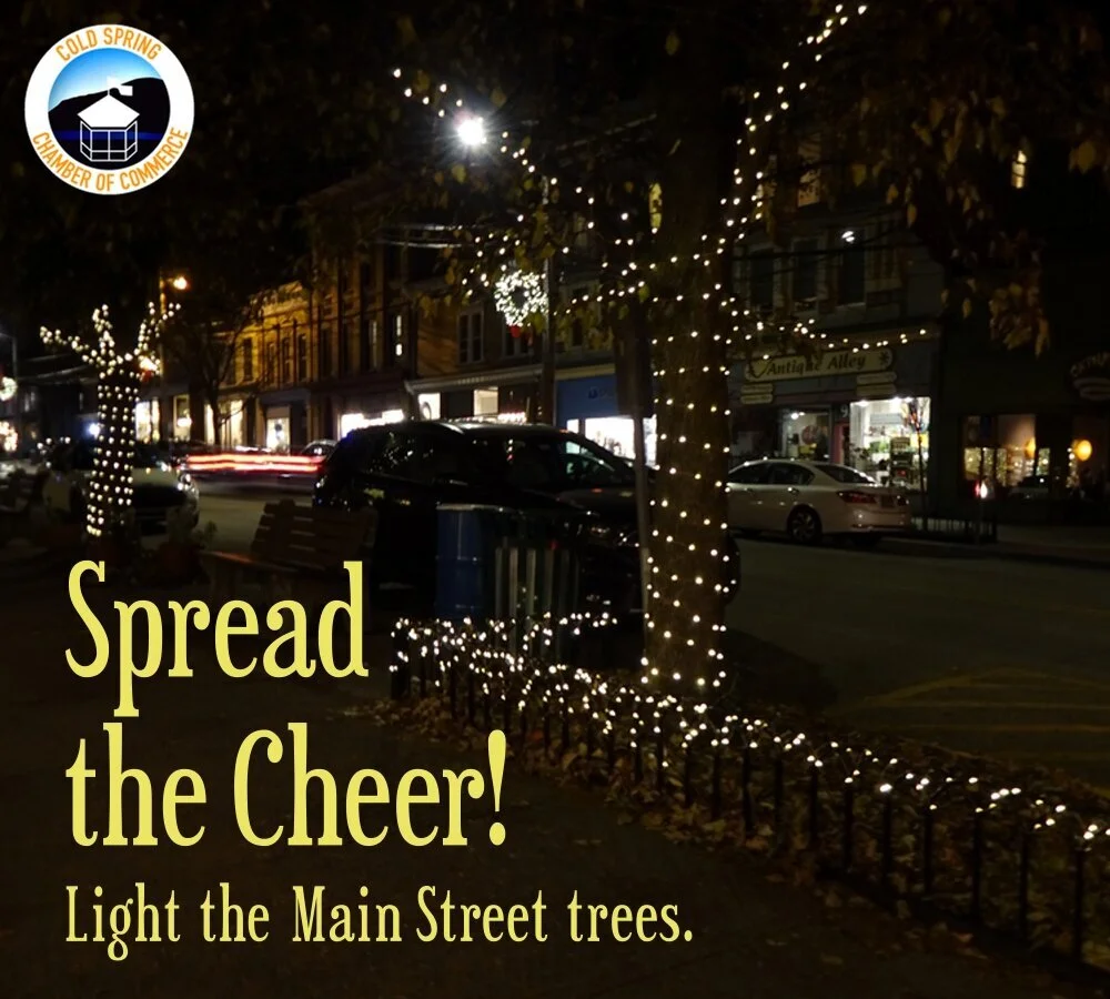 Making The 2020 Holiday Safe And Bright