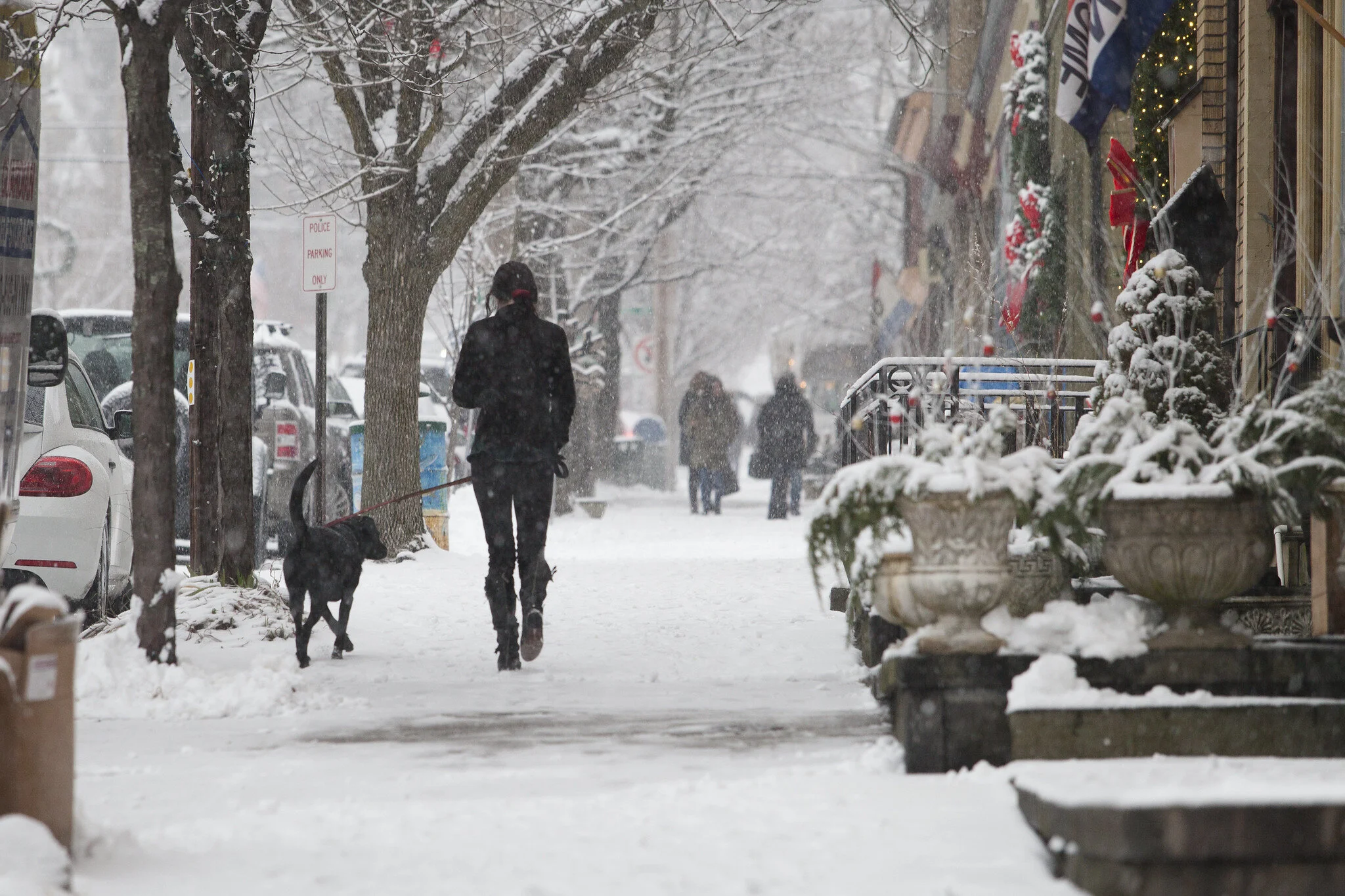 Covid-19 Holiday Season, Vaccines, And What To Expect