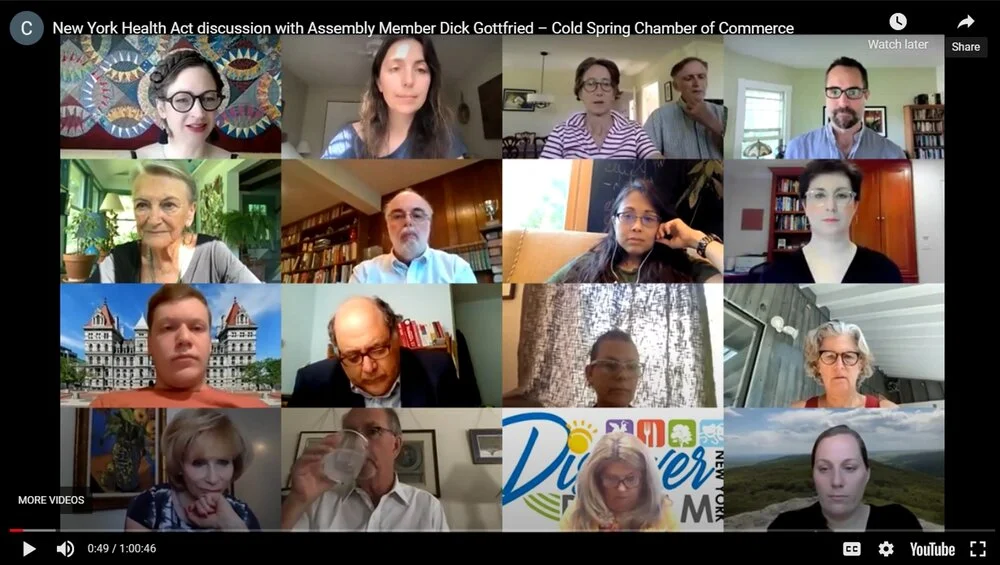 Watch the June Meeting: A Presentation on the New York Health Act