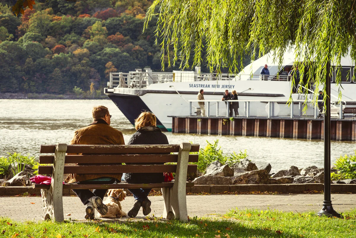SEASTREAK CRUISES RETURN ON FRIDAY, OCTOBER 1