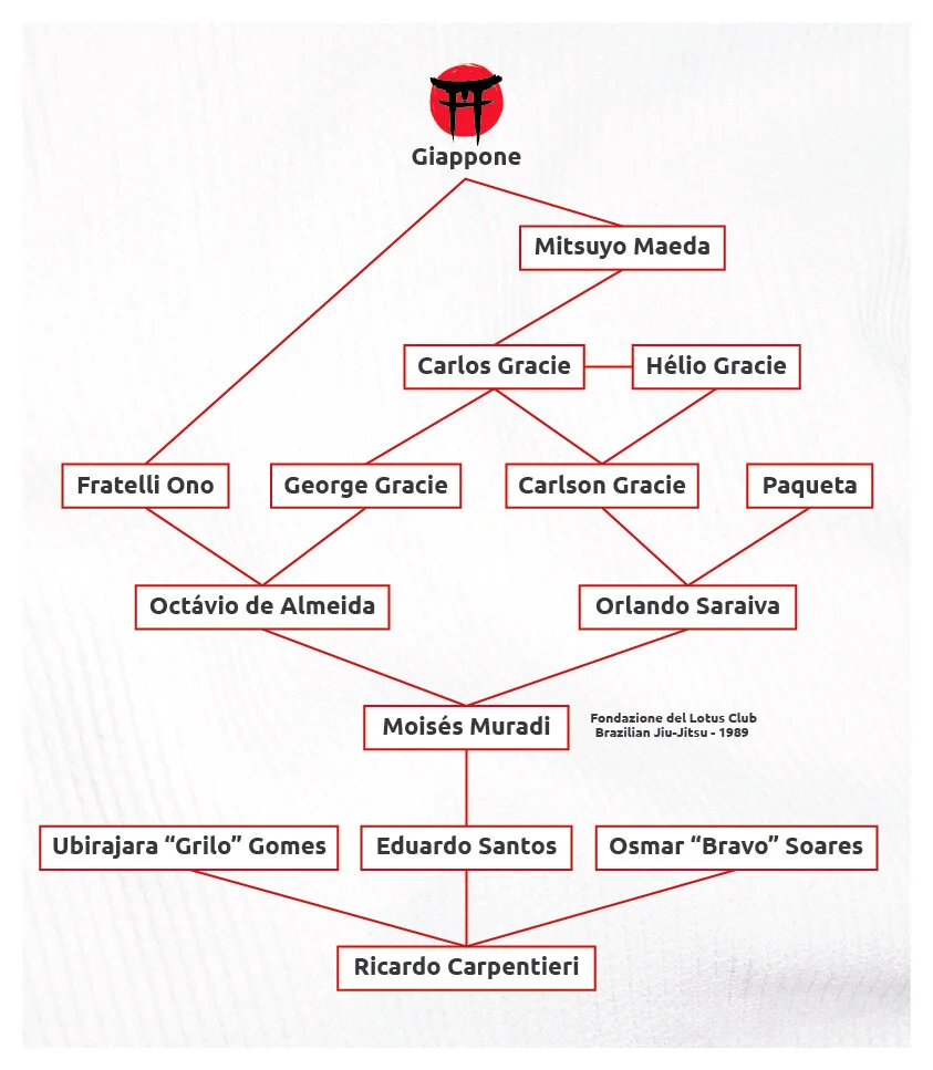 Albero_Genealogico_Lotus_Milano_Site_02.jpg