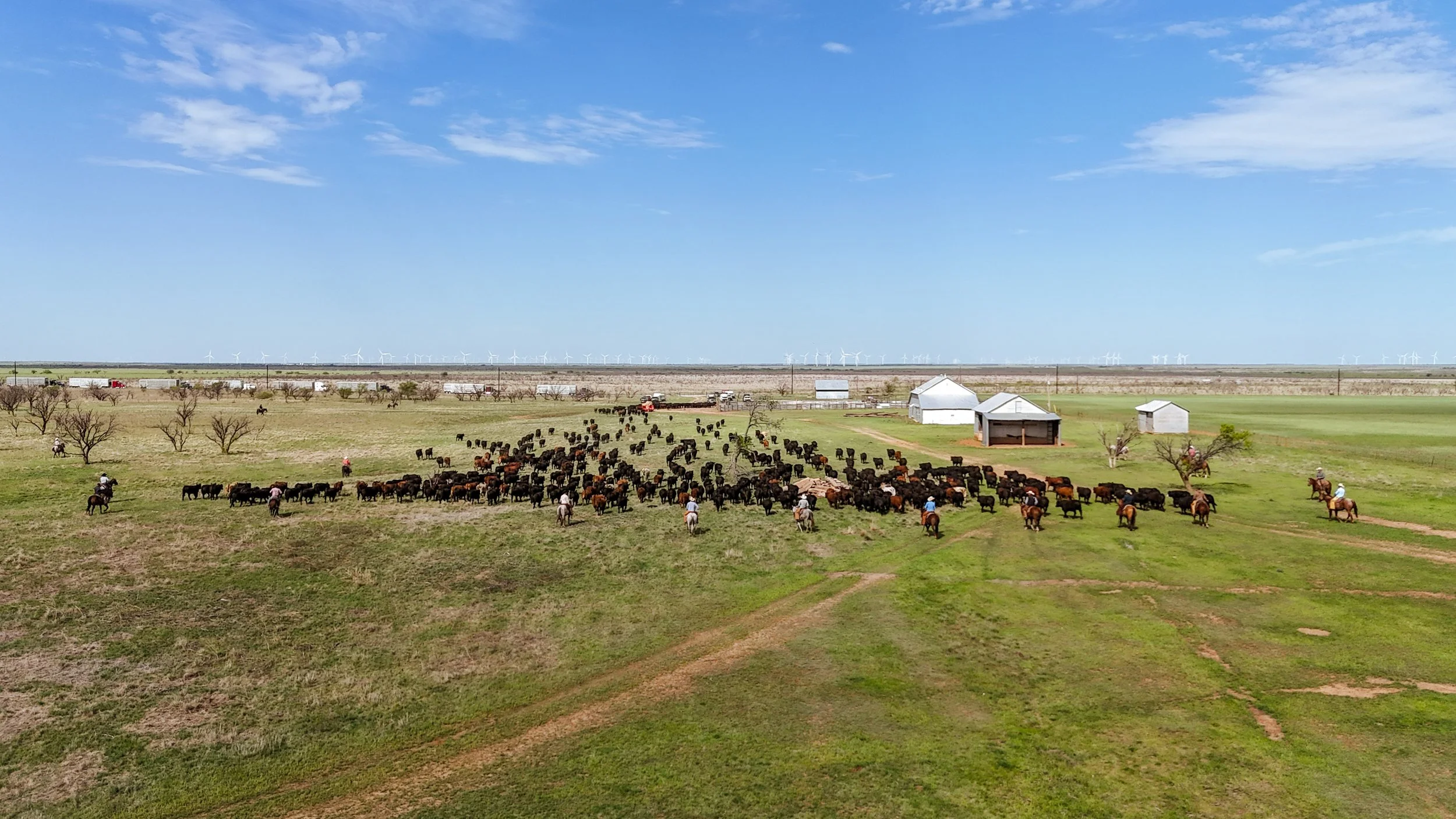 DJI_20250415233118_0076_D.jpg