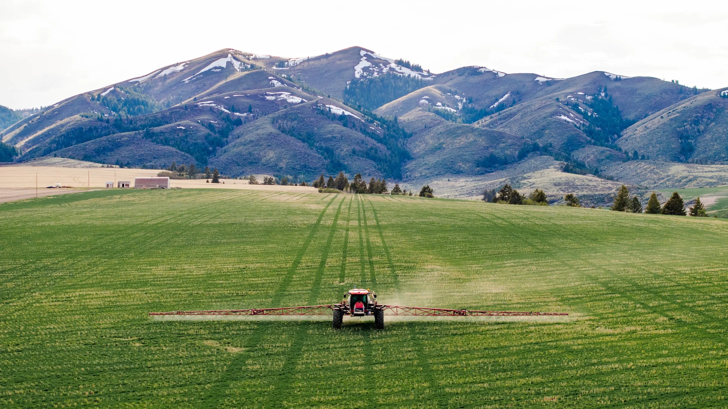 DJI_20250426081203_0234_D.jpg