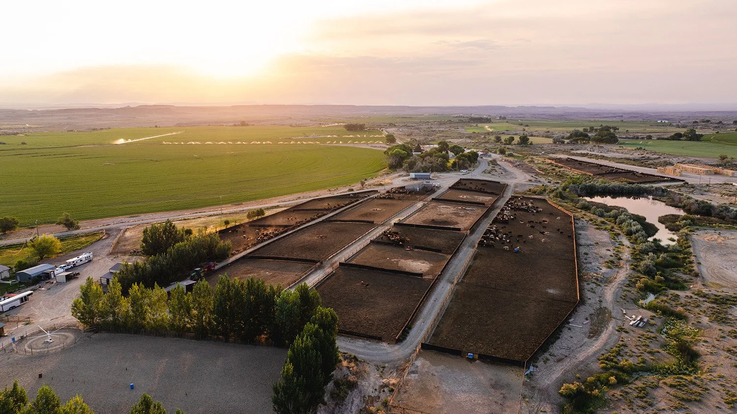 DJI_20250710210059_0285_D 2.jpg
