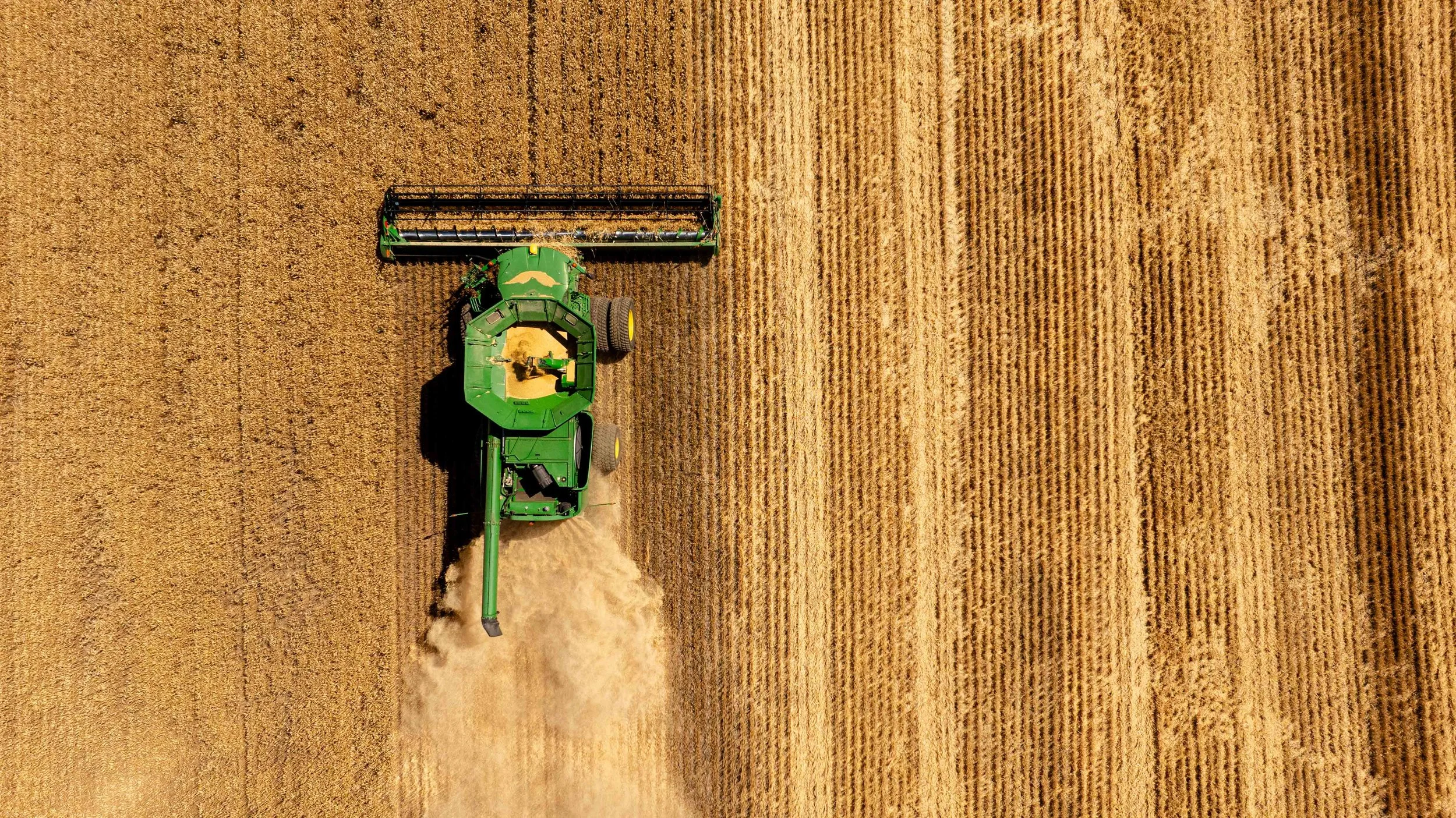 DJI_20250809234801_0127_D.jpg