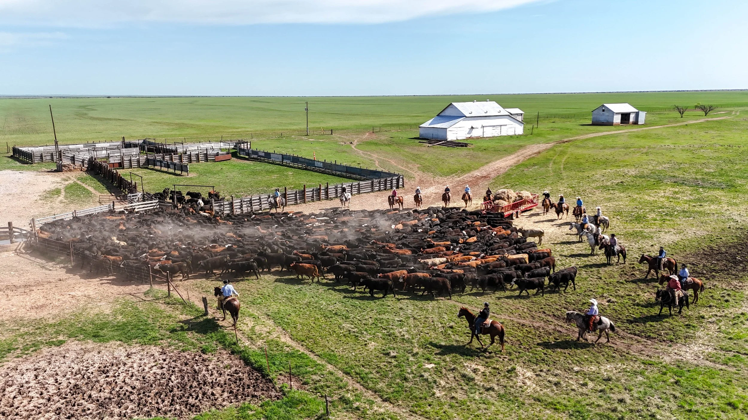 DJI_20250415233423_0081_D.jpg