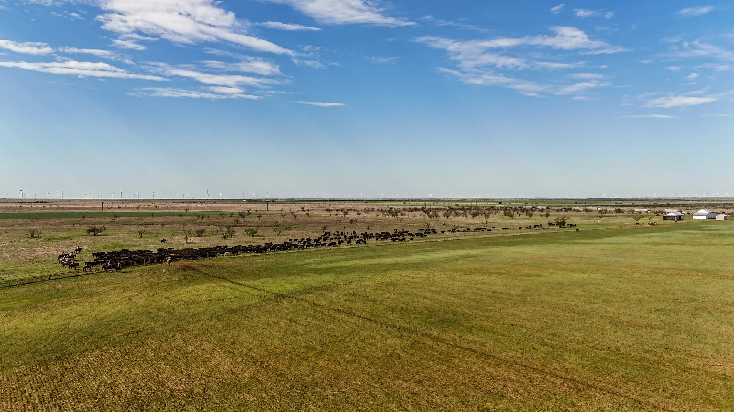 DJI_20250415232709_0068_D.jpg