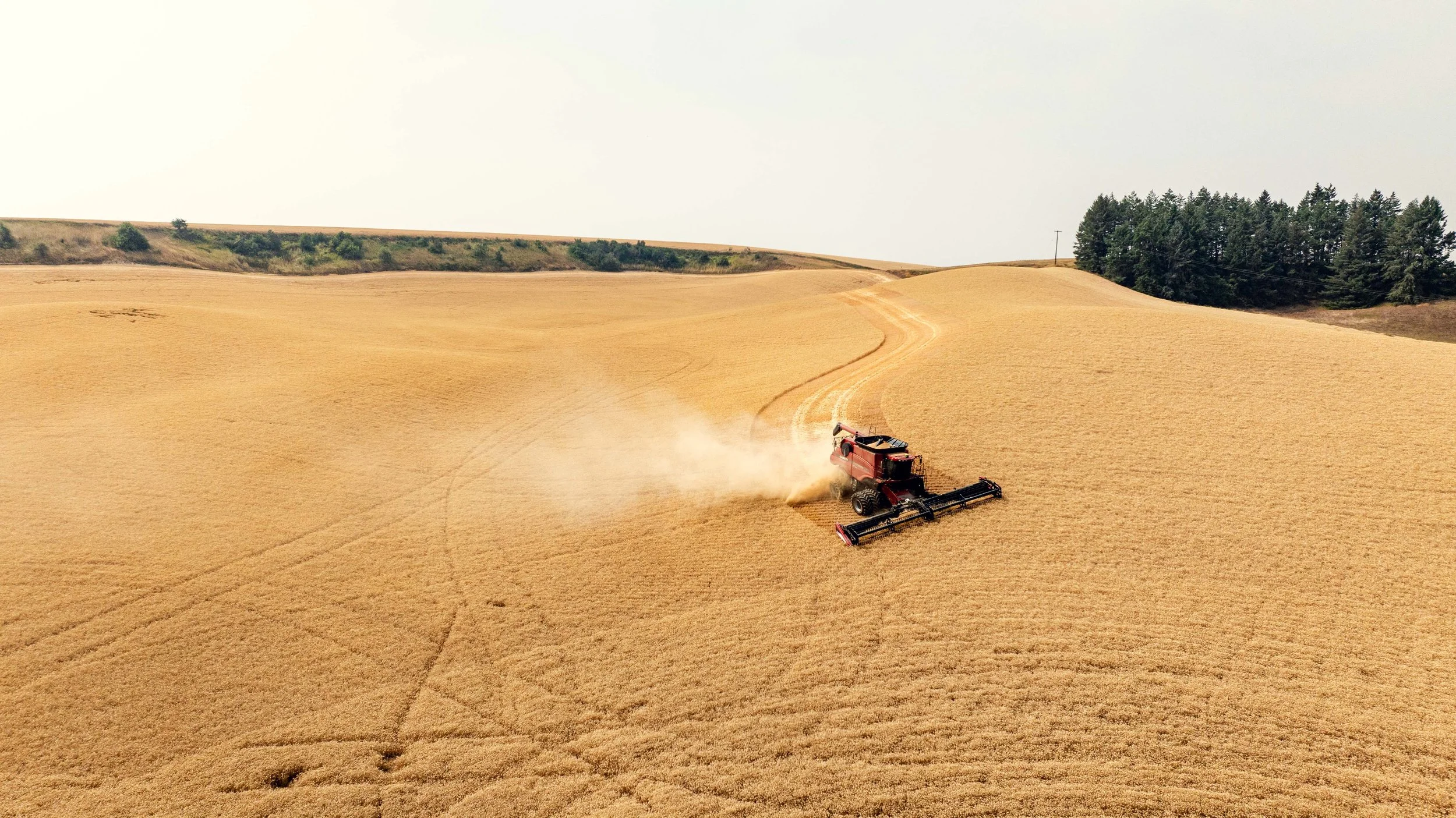 DJI_20250813232459_0107_D.jpg