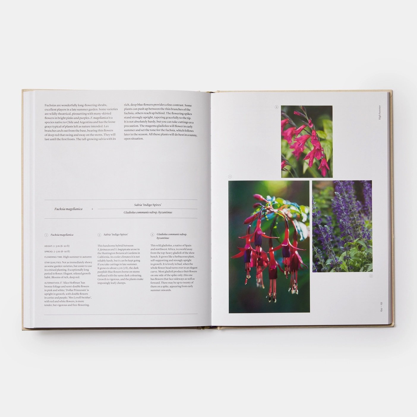 the-seasonal-gardener-en-6398-pp-134-135-3000.jpg