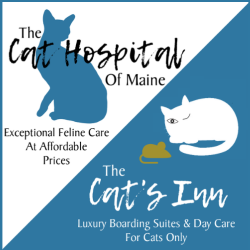 Contact — The Cat Hospital of Maine
