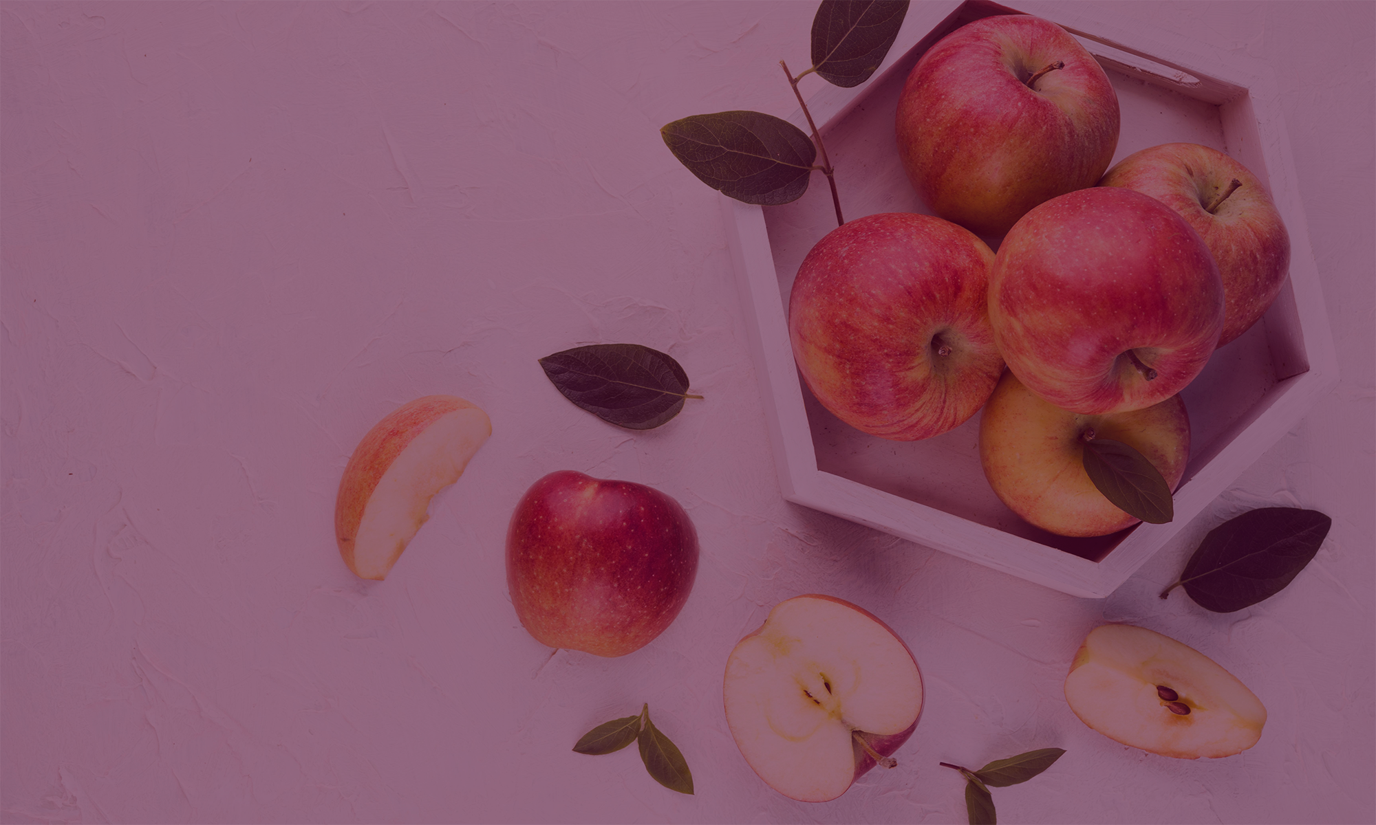 lunch cover photo.png