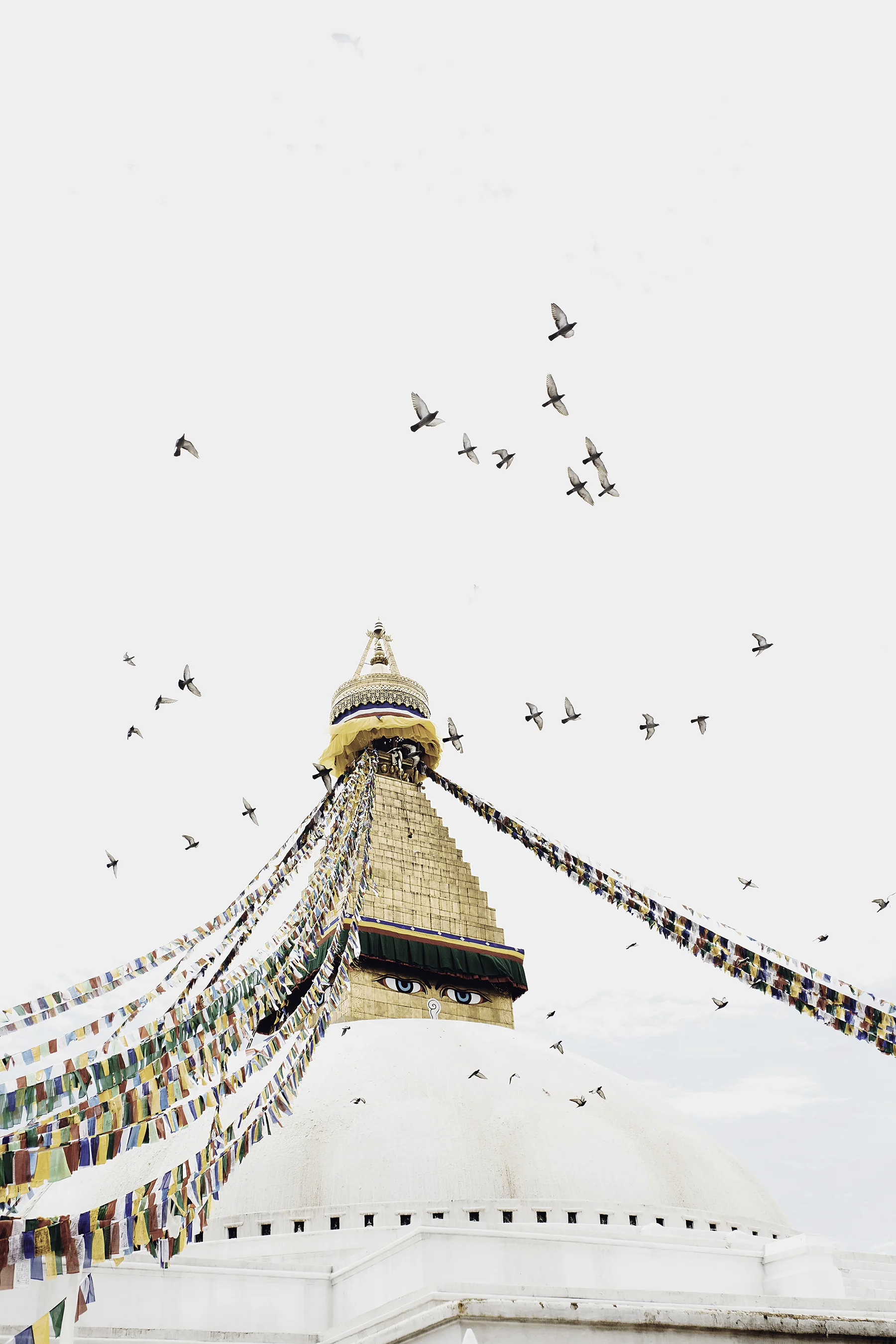 samadhi_website2.jpg